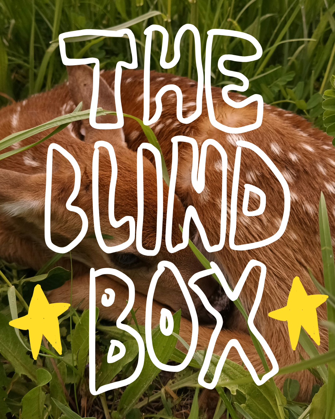The (Blind) Book Box