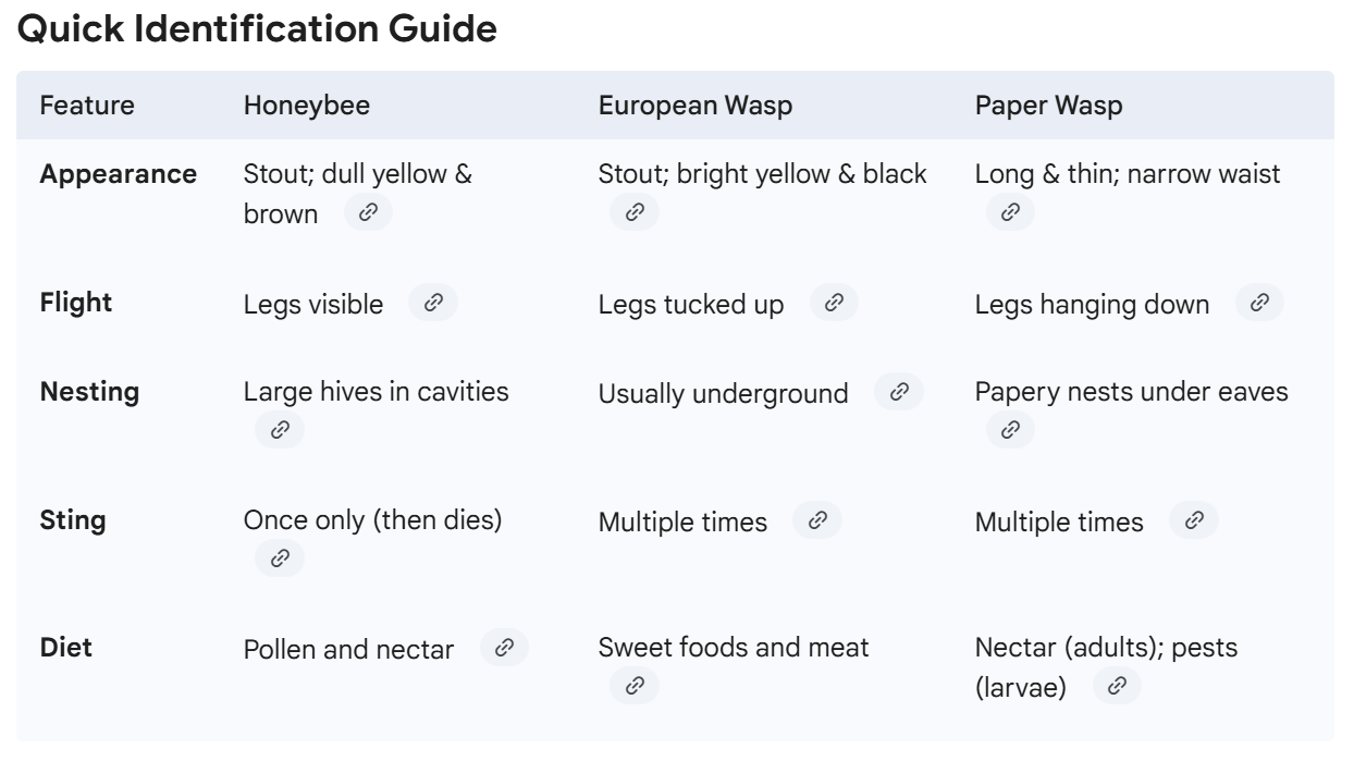 A comparison chart titled 'Quick Identification Guide' displaying features of honeybee, European wasp, and paper wasp, including appearance, flight, nesting, sting, and diet.