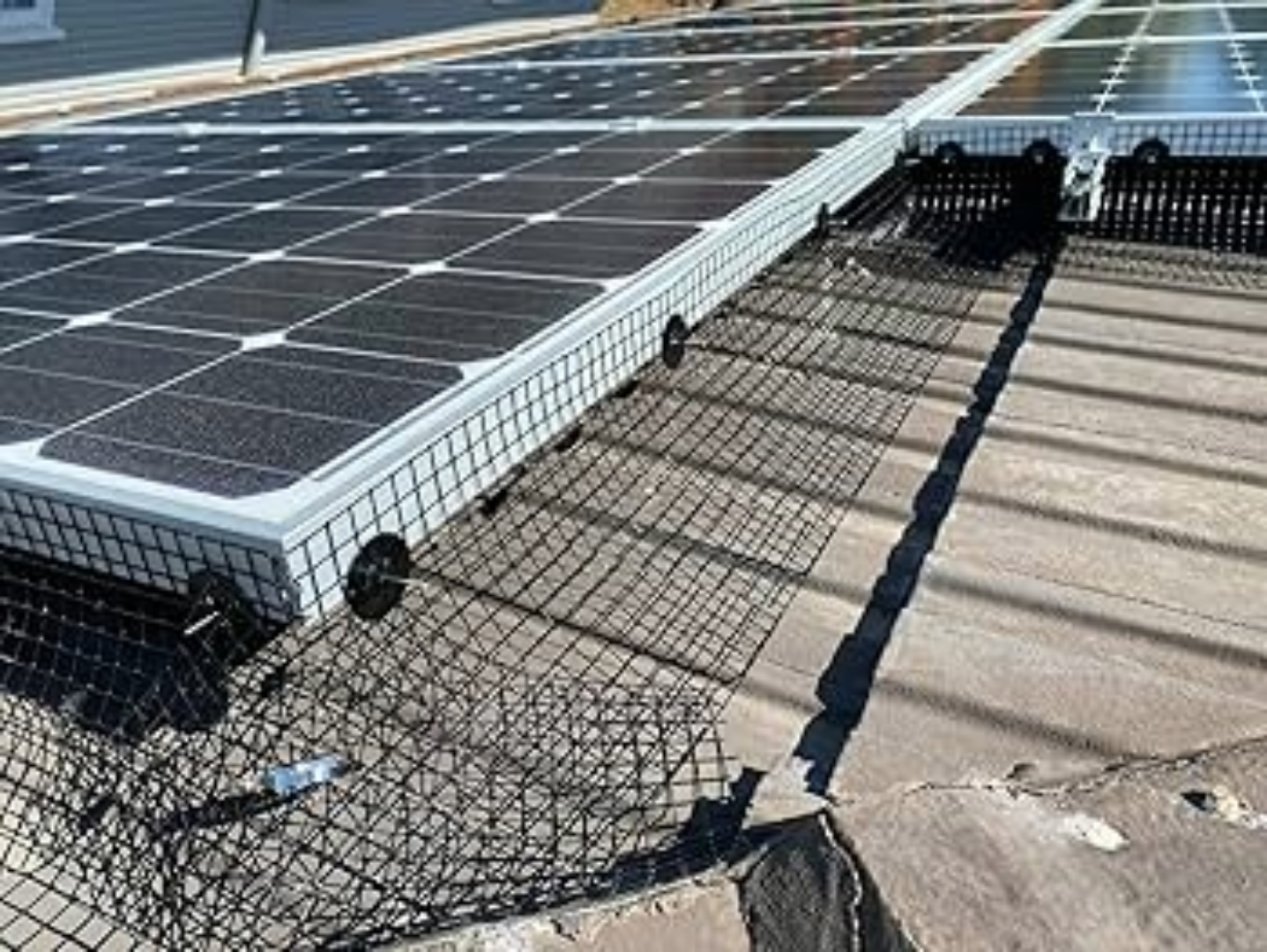 A solar panel system installed on a rooftop with protective wiremesh and anchors.
