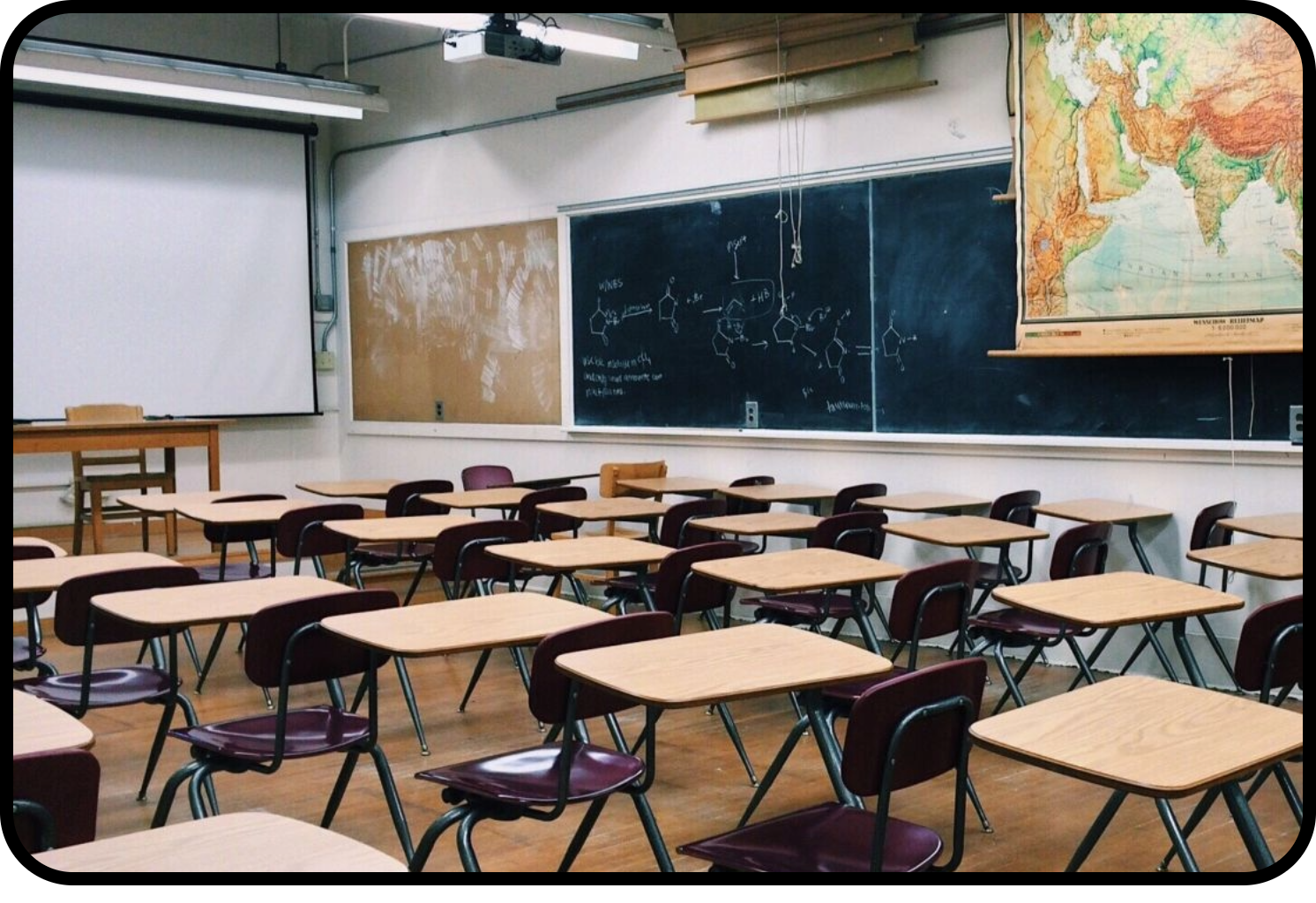 Professional pest control and pest management for schools and educational facilities.