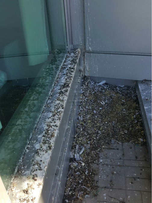 Close-up of a glass window ledge with dirt, debris, and bird droppings, next to a dirty, debris-covered floor area.