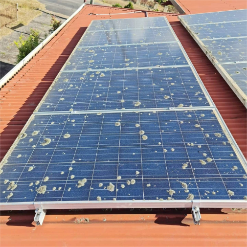 Solar panels installed on a rooftop with visible dirt and moss.