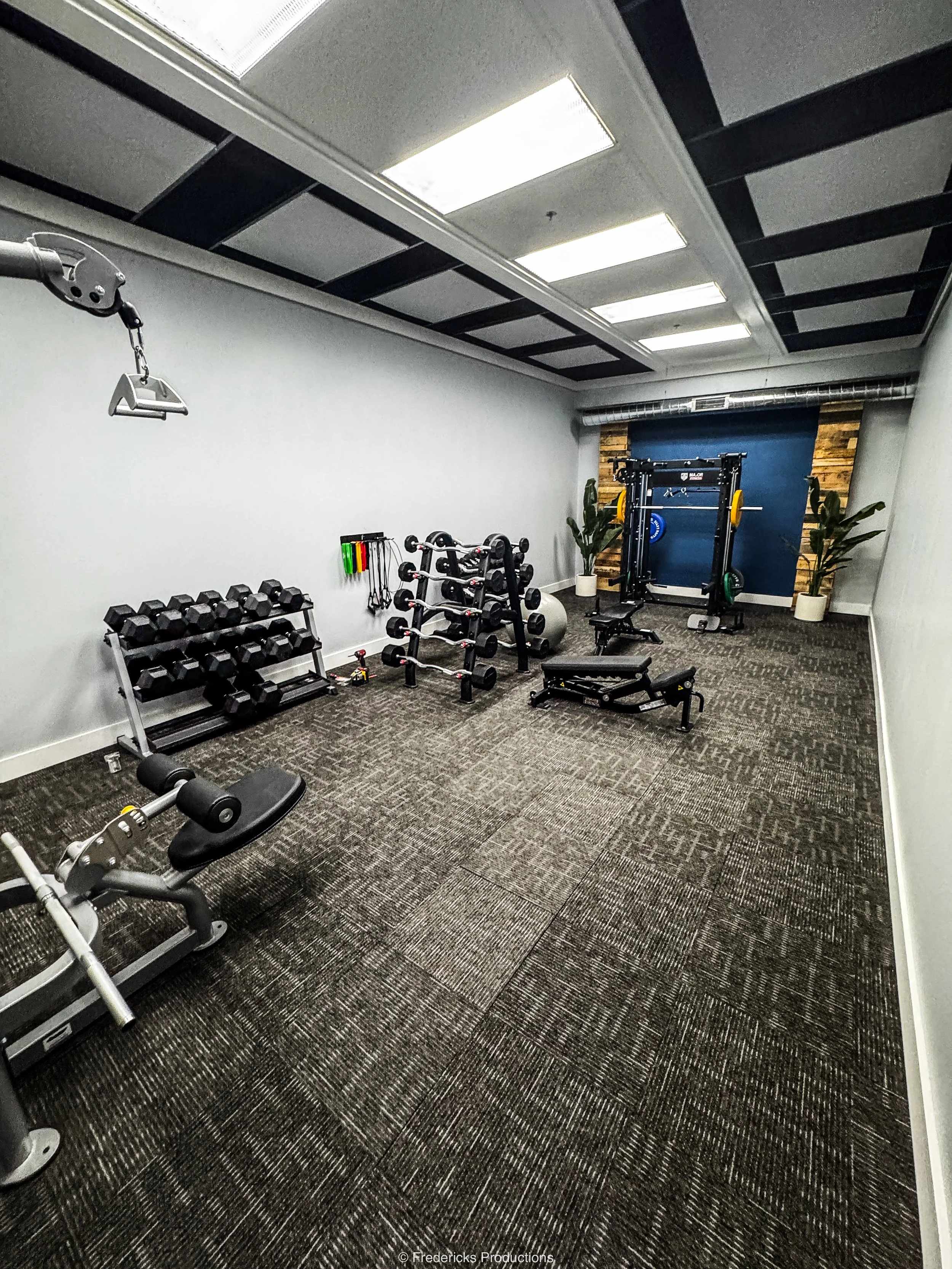 Empty indoor gym with weightlifting equipment, free weights, resistance bands, and plants in the background.