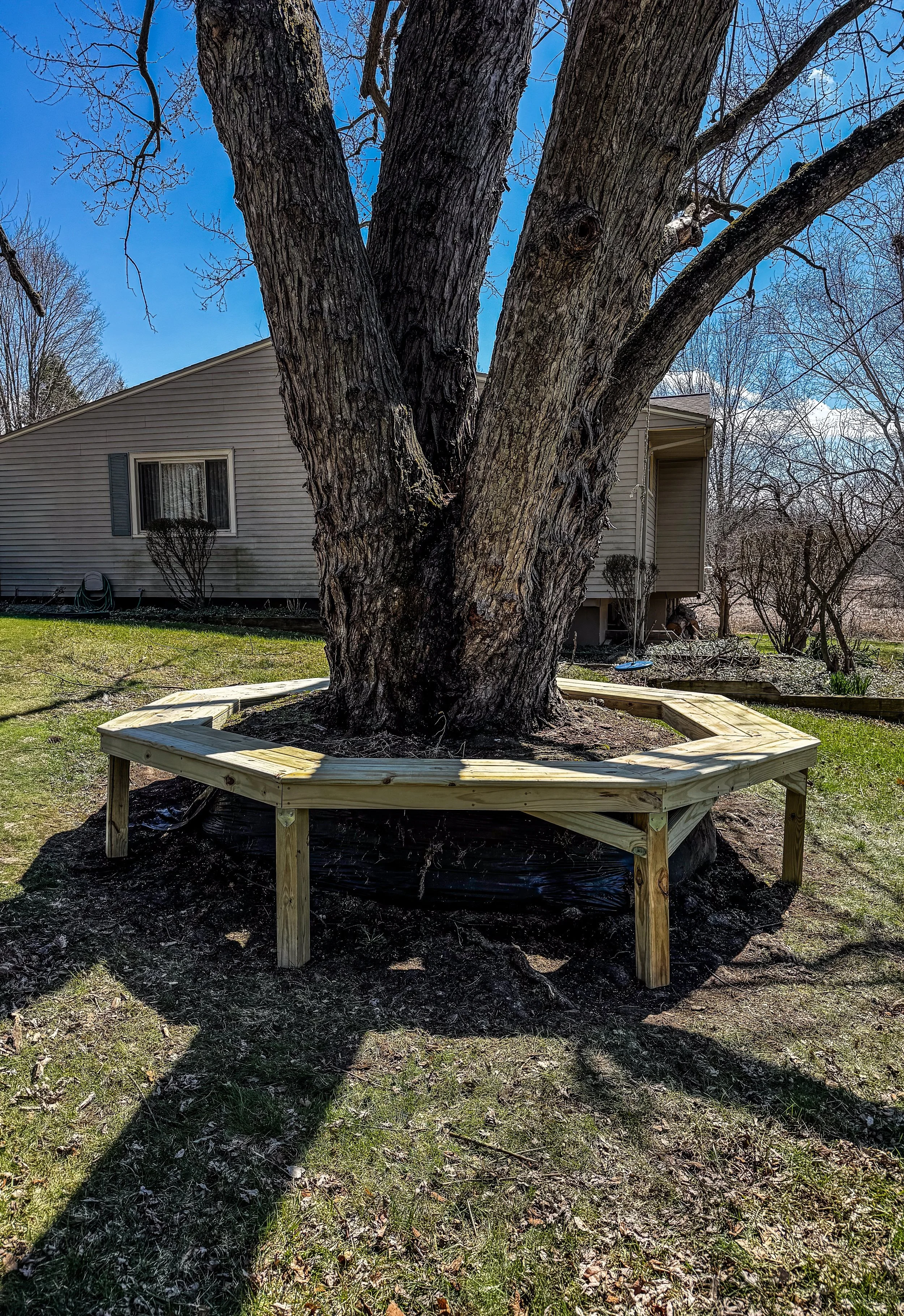 A Custom Octagon Bench Around a 100-Year Oak