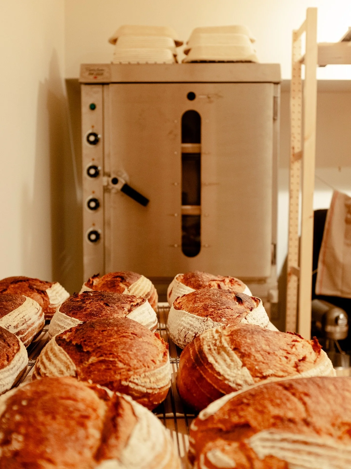 bread orders are open for saturday, february 21
ordering link in profile

#haltonhills #caledon #sourdough