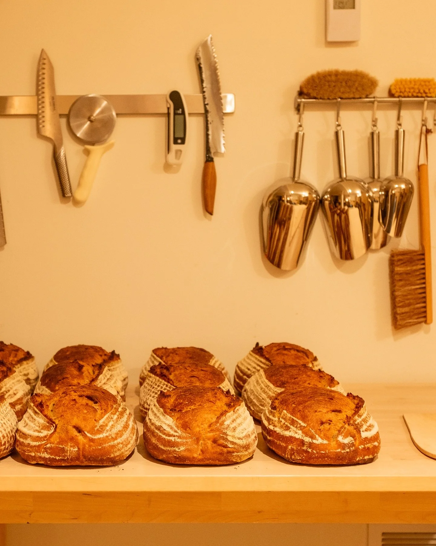 loaves were beautiful this morning

#sourdough #haltonhills #caledon