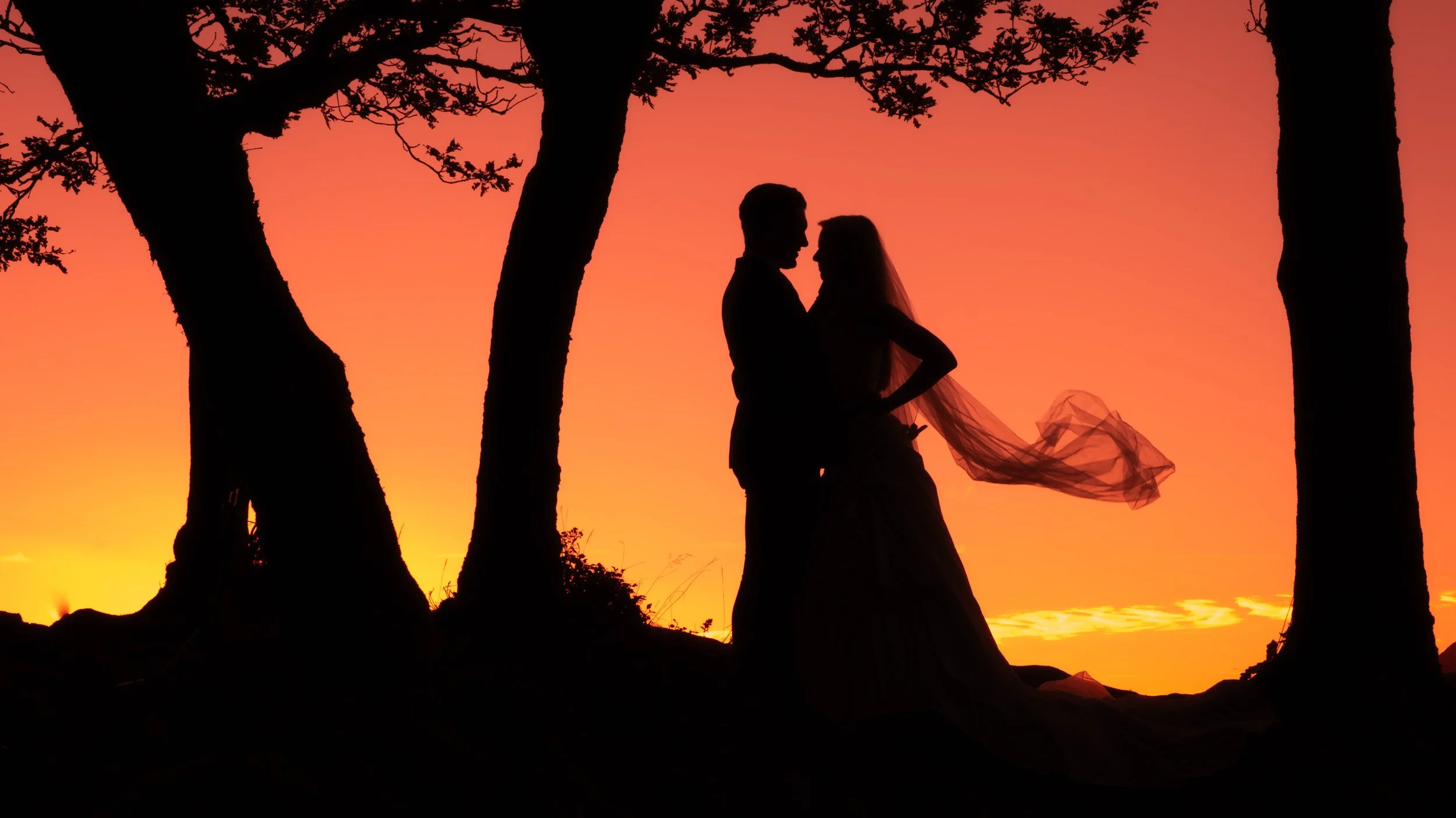 Silhouette of a bride and groom facing each other, standing between trees, during a sunset with a colorful orange and pink sky.