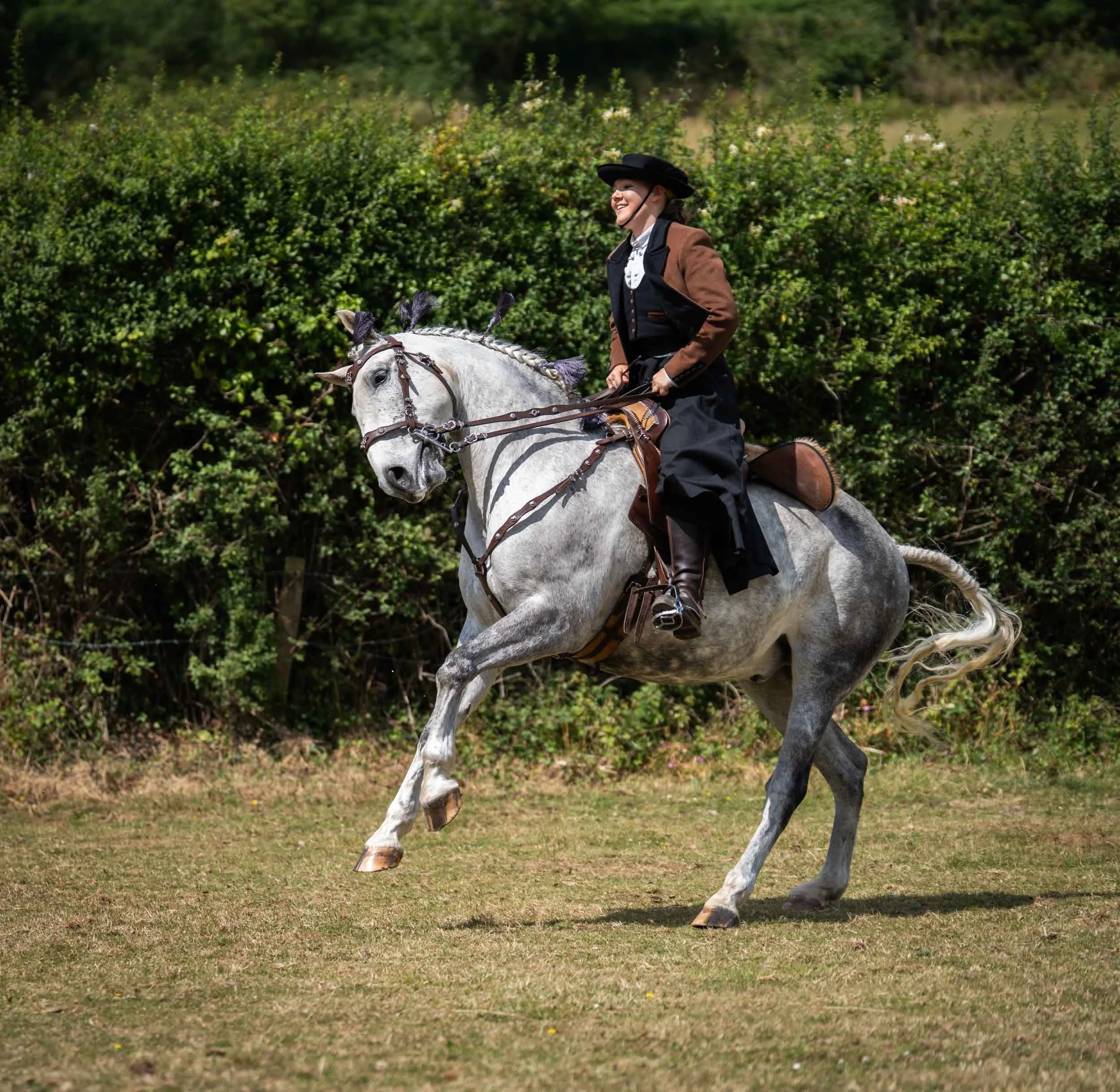 A woman in historical riding attire, including a black hat, brown jacket, and black skirt, is riding a gray horse in an outdoor setting with green bushes in the background. The horse is rearing on its hind legs.