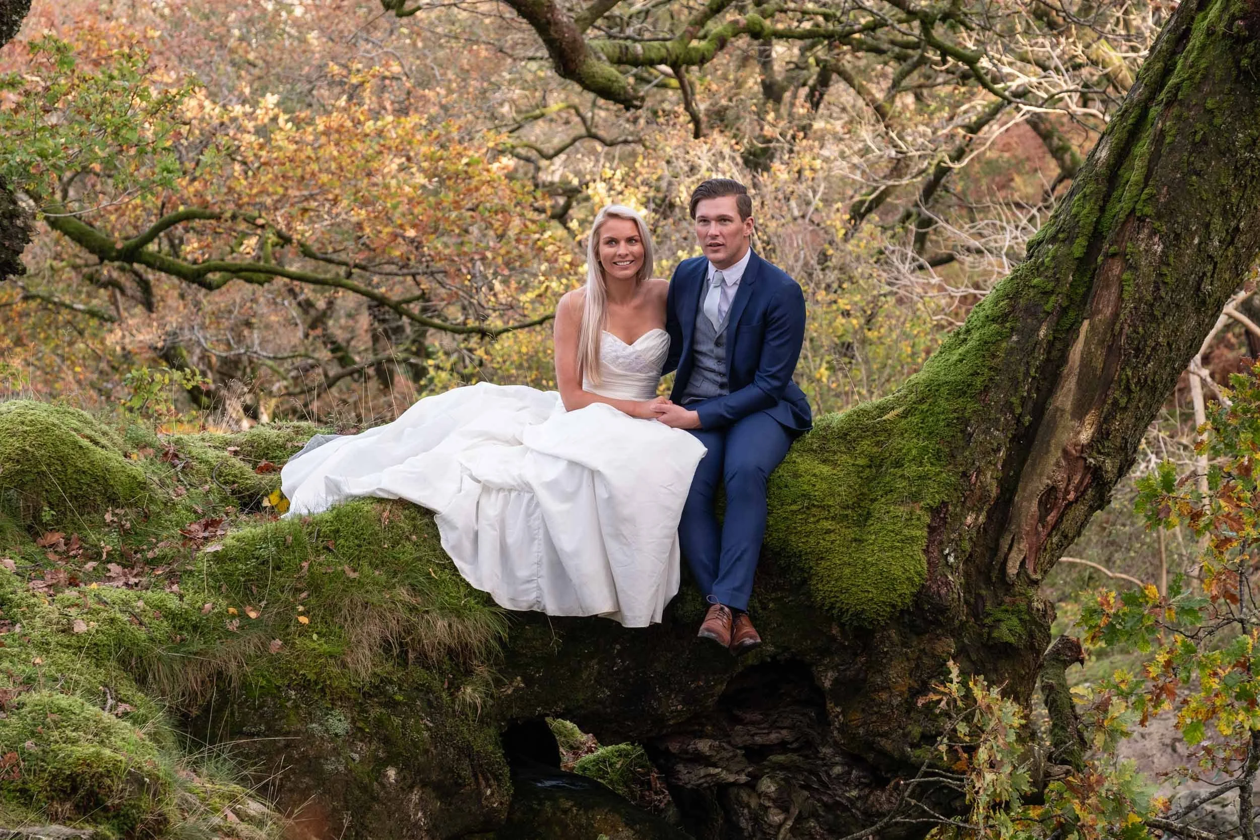 A couple dressed in wedding attire sitting on a mossy tree branch in a forest with autumn foliage.