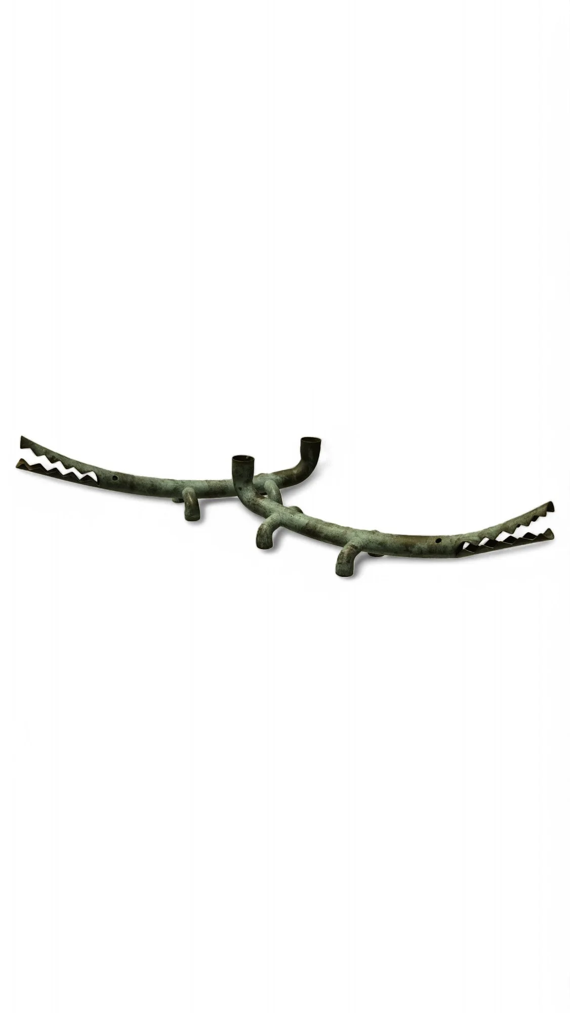20250322_162246_resized.jpg