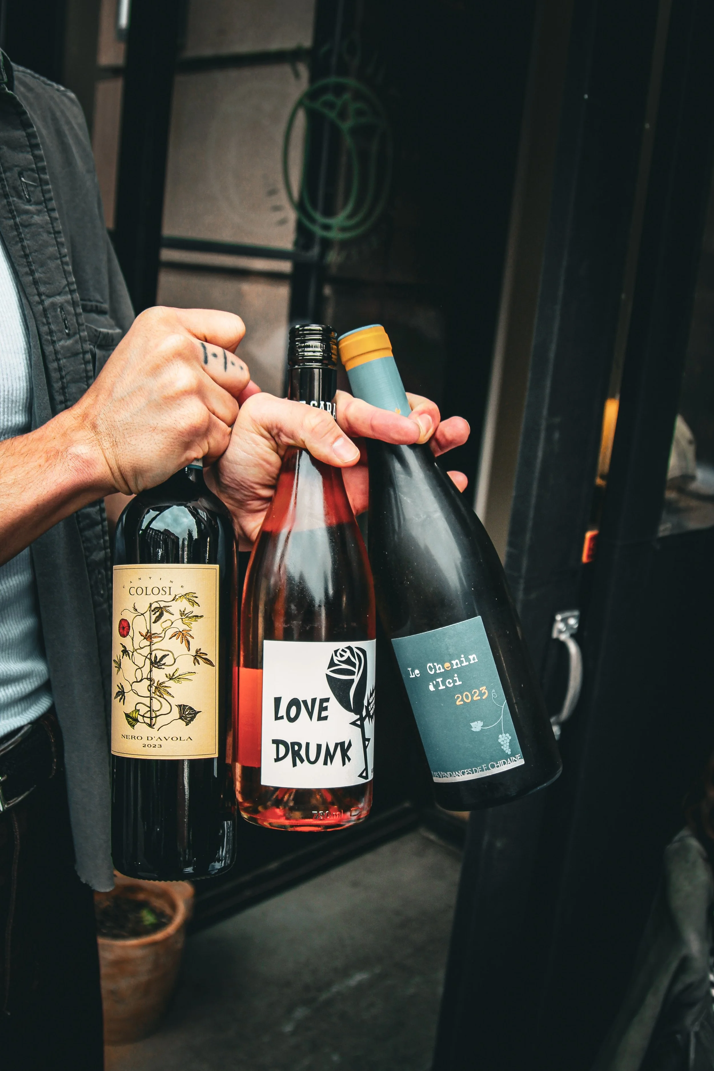 Close-up of a person's hand holding three wine bottles, with focus on labels, in an outdoor setting with the entrance and a potted plant in the background.