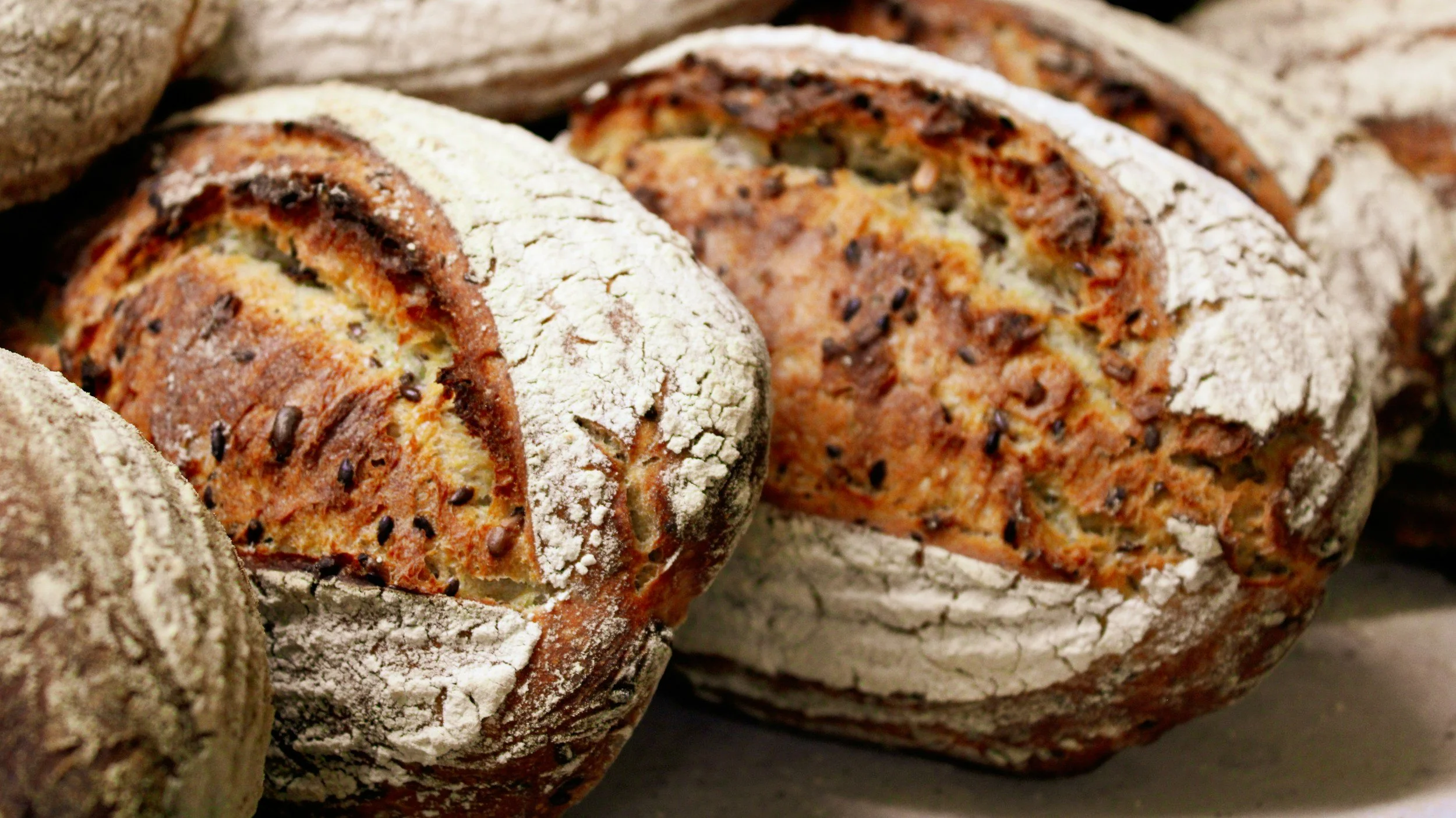 Close-up of two loaves of rustic bread with a dusting of flour on the crust and visible chocolate chips inside.