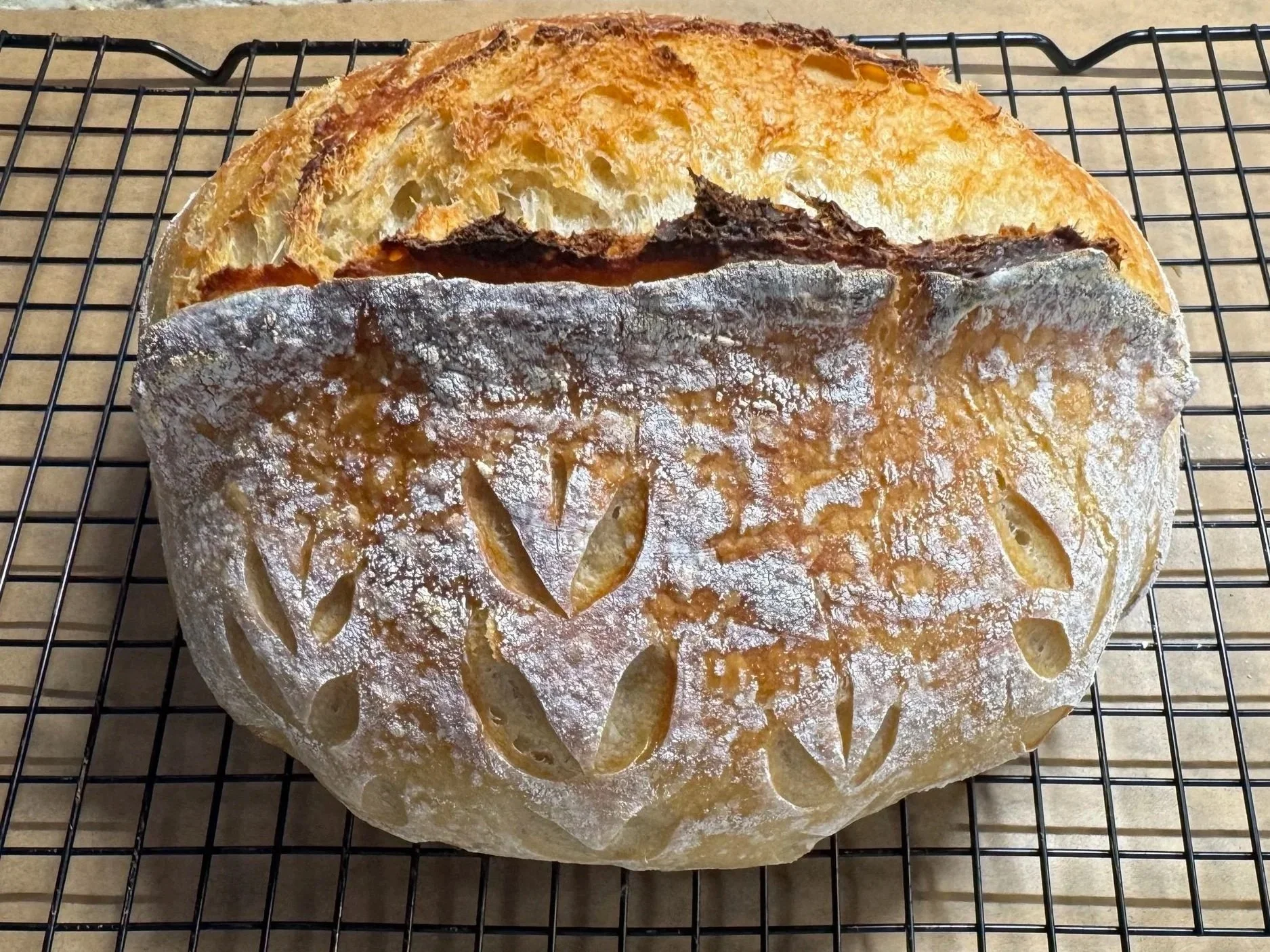 GF Sourdough Loafs