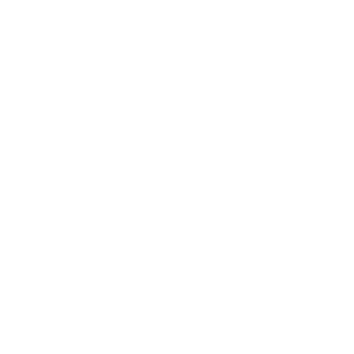 Whakatane House Tinting