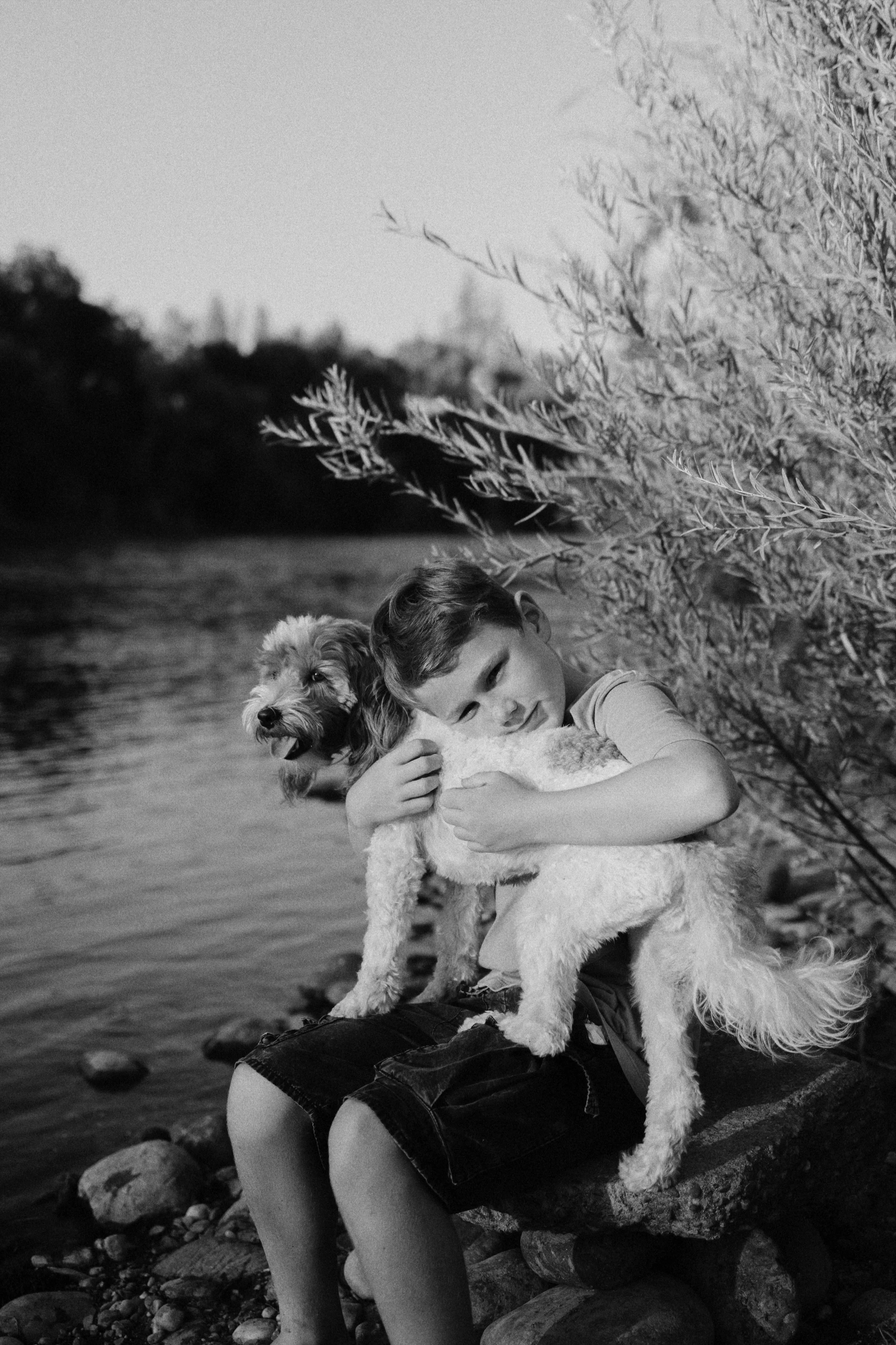 A young boy sitting on a rock by a riverbank, hugging a dog while another dog sits on his lap. Trees line the river, with one tree's branches extending over the boy and dogs. The image is in black and white.