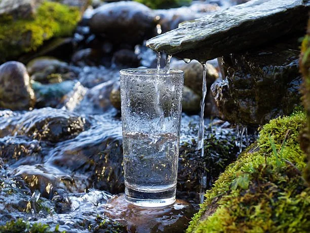 Une verre d'eau est rempli sous un ruissellement d'une petite cascade dans un environnement naturel avec des rochers et de la mousse.