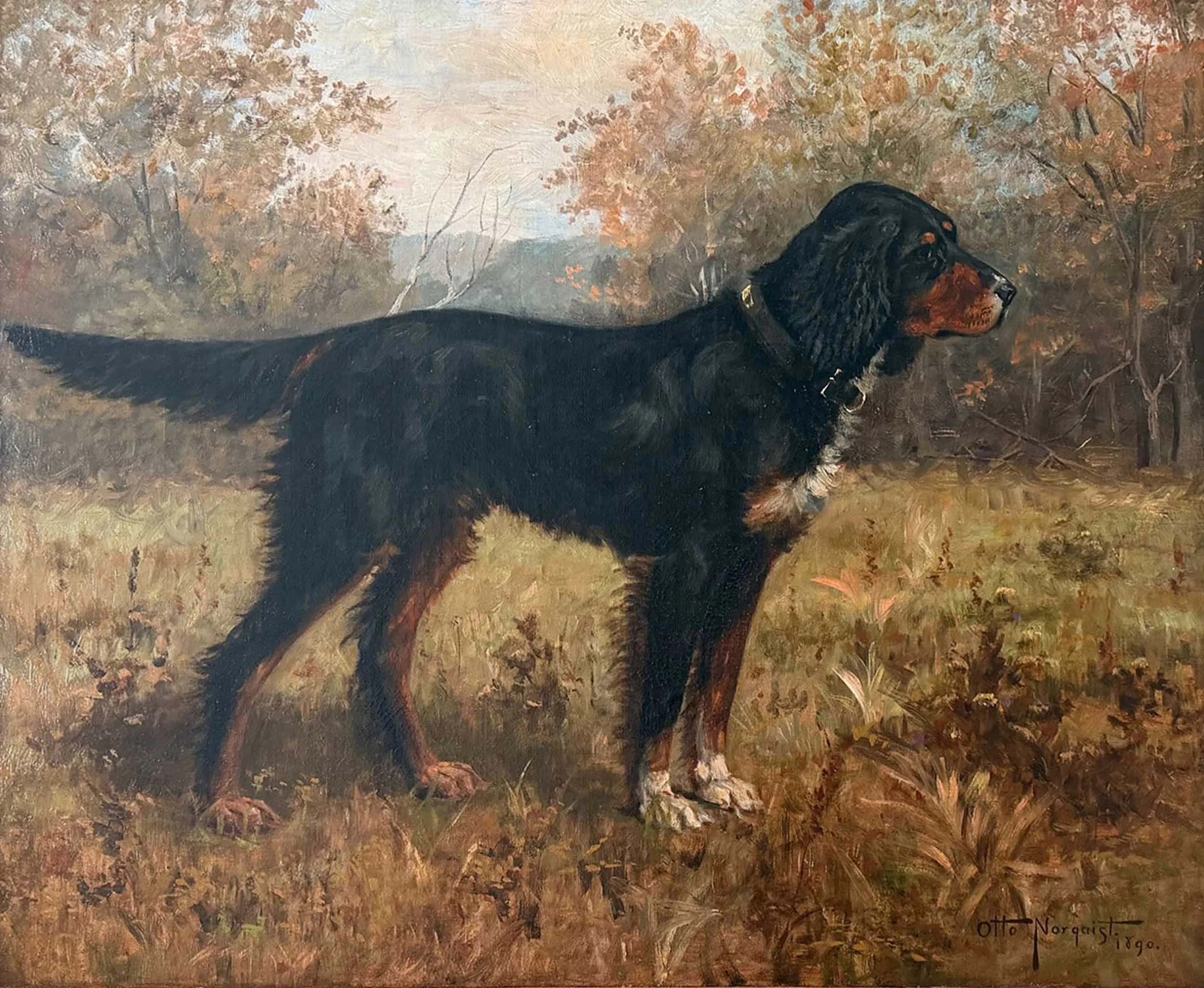 Norquist-Otto-Gordon-Setter-Unframed.jpg