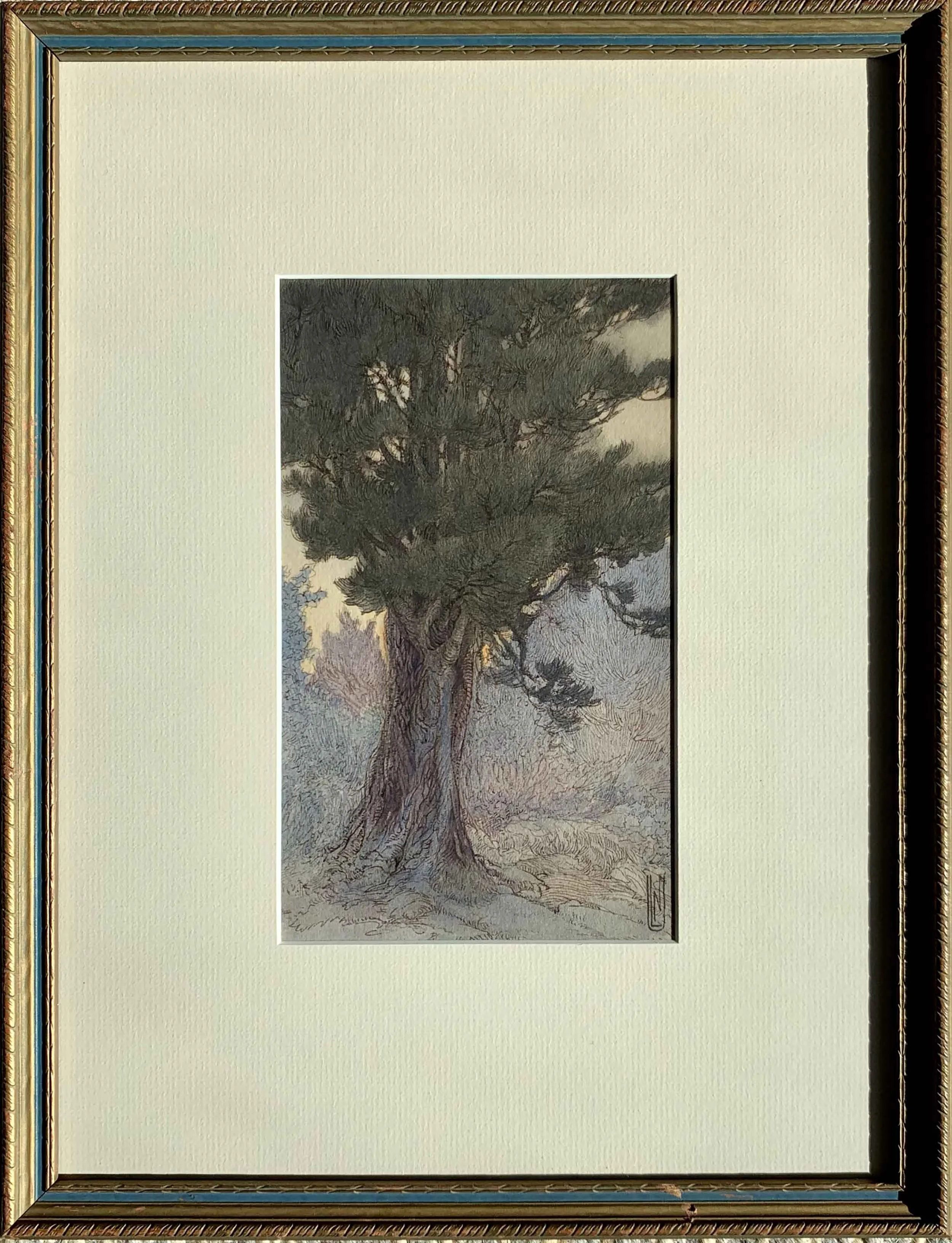 Murphy-Nellie-Littlehale-Tree-Study-at-Twilight-Framed.jpg