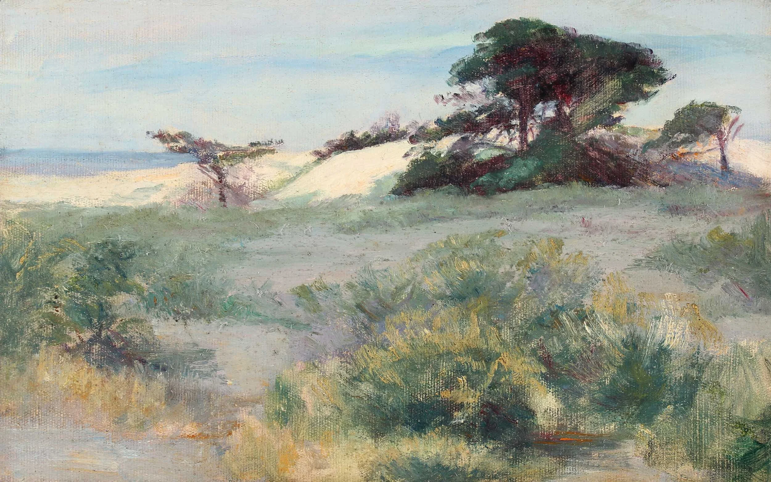 Fisk-Zoe-Worthington-Sand-Dune-Landscape-Unframed.jpg