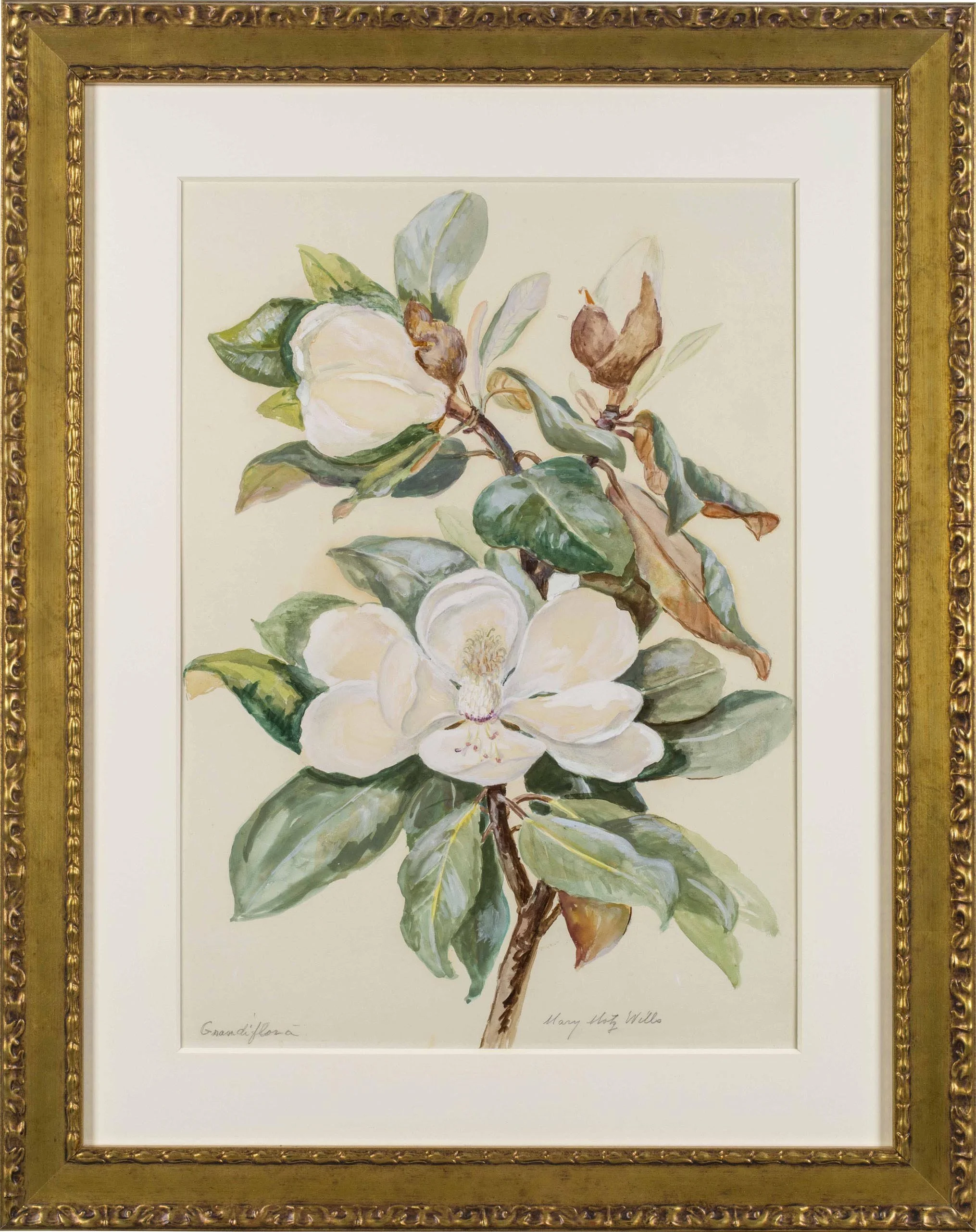 Wills-Mary-Motz-Grandi-Magnolia-Flower-Framed.jpg