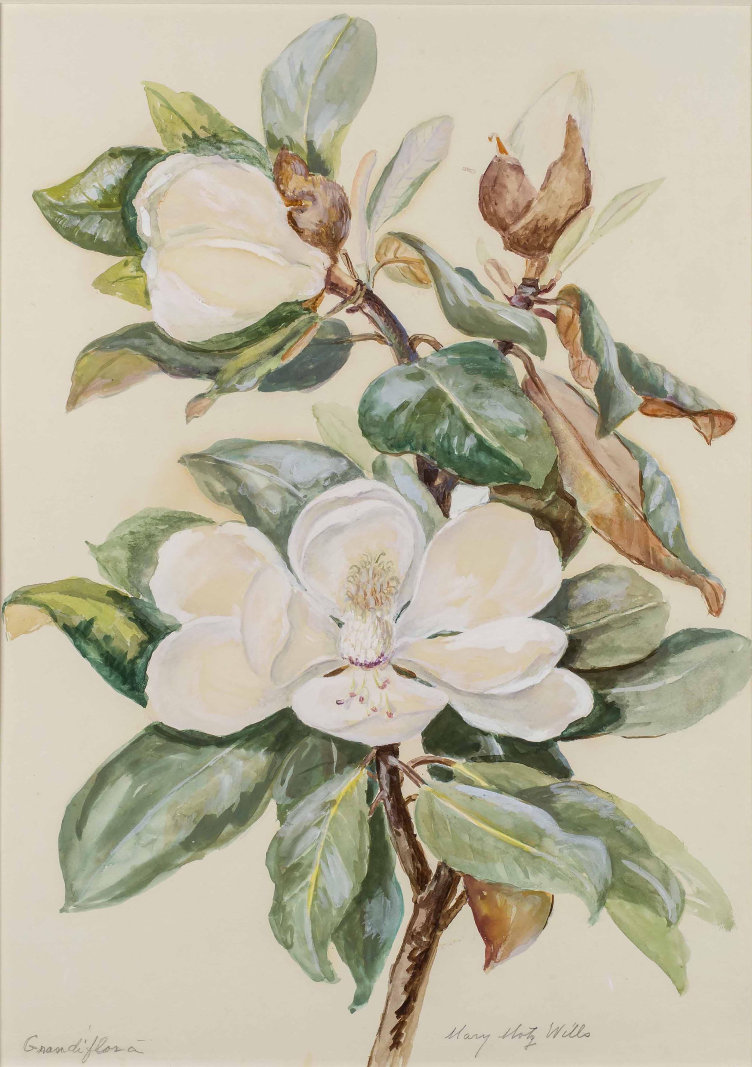 Wills-Mary-Motz-Grandi-Magnolia-Flower-Unframed.jpg