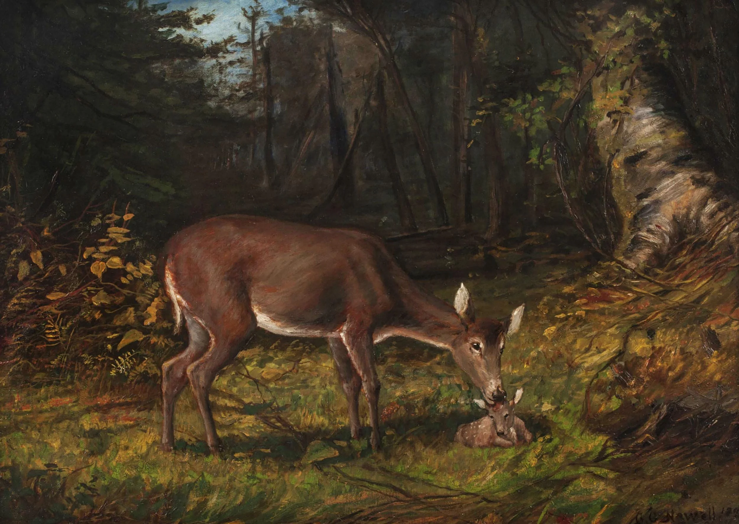Newell-George-Glenn-Deer-in-a-Woodland-Landscape-Unframed.jpg