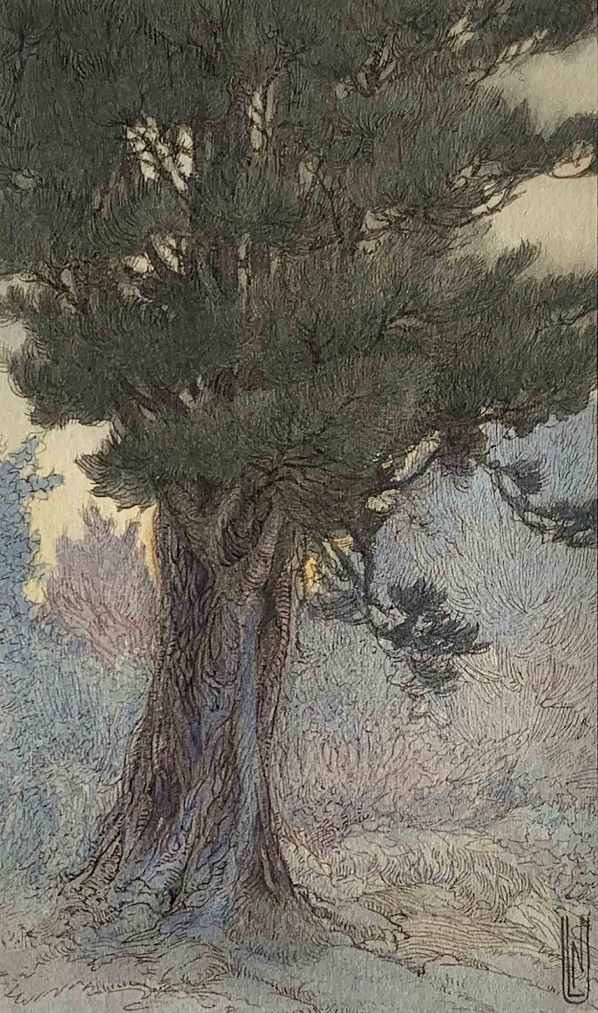 Murphy-Nellie-Littlehale-Tree-Study-at-Twilight-Unframed.jpg