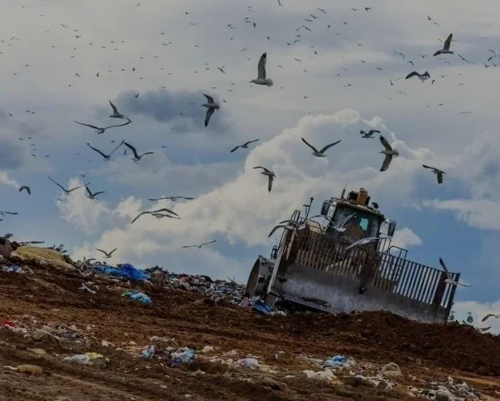A bulldozer clearing a landfill filled with trash, with seagulls flying overhead in a cloudy sky.