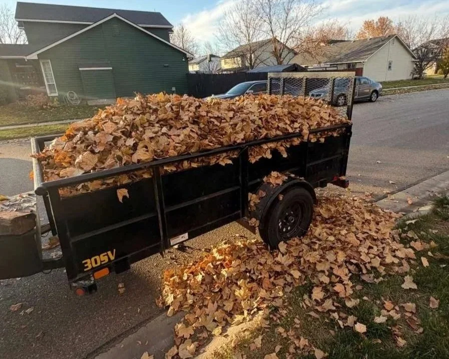 leaf removal in meridian