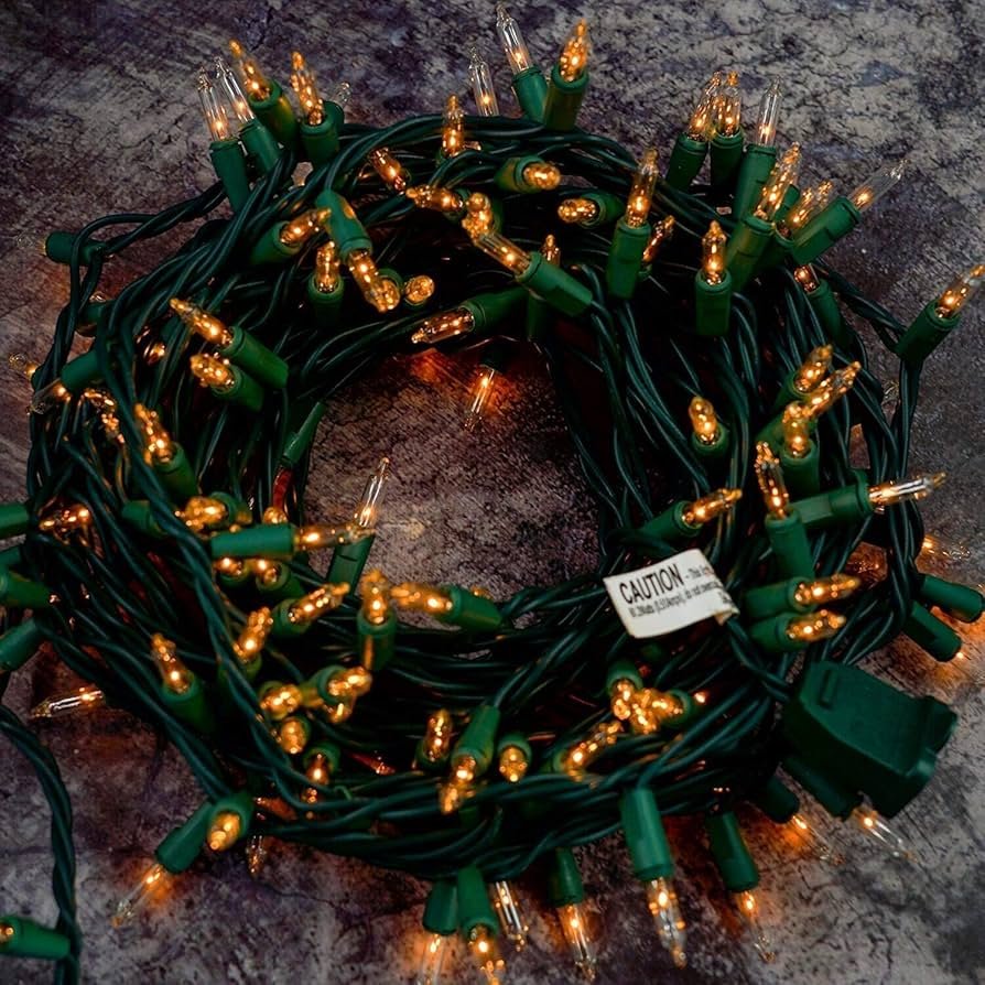 Christmas light install rent Boise