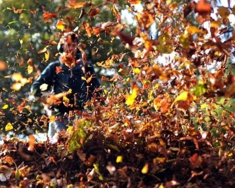 man blowing leaves meridian 1.jpg