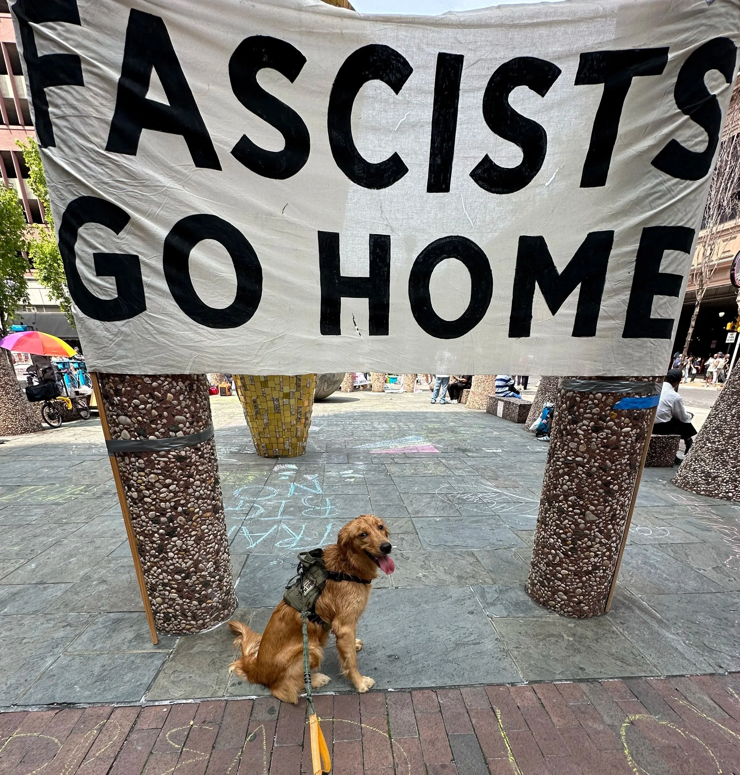 Dog with a harness sitting under a large protest sign that reads 'FASCISTS GO HOME.'