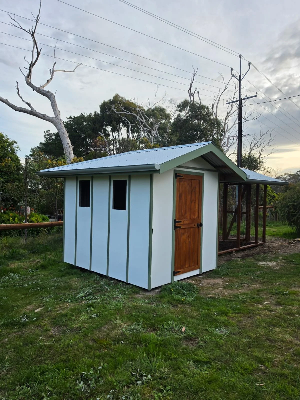The "Cluckingham Palace"