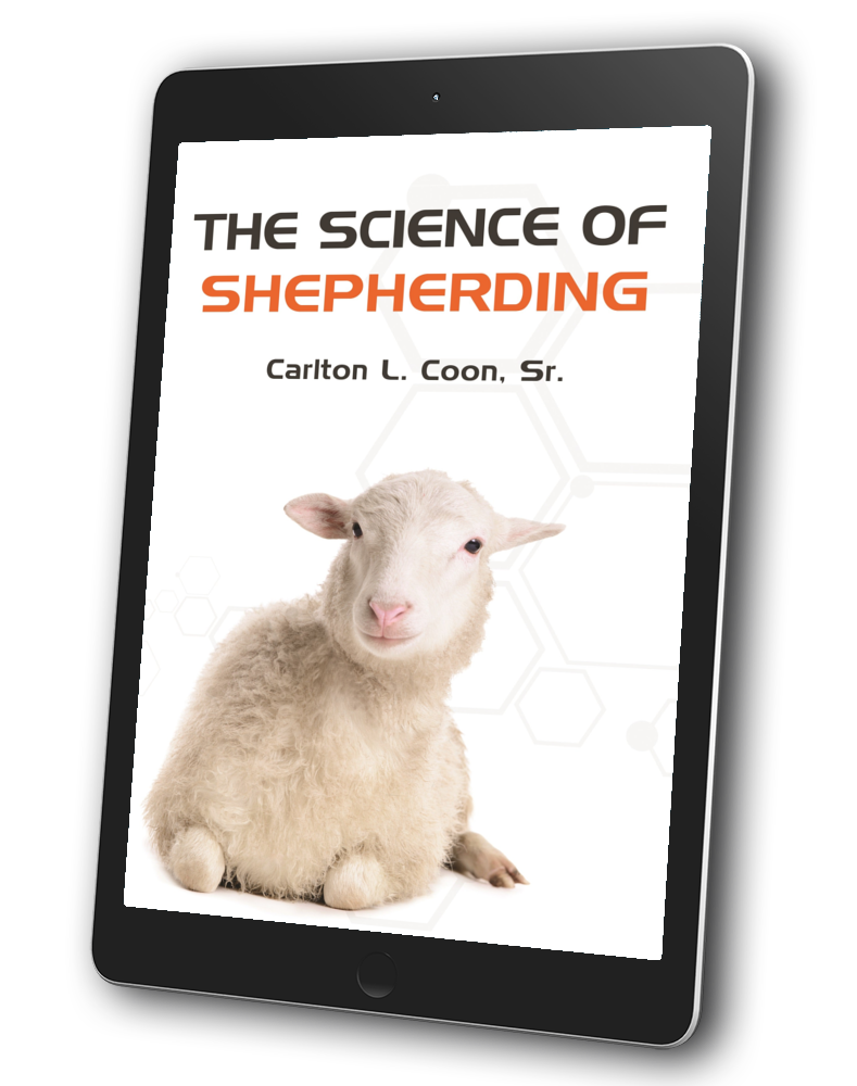 TheScienceofShepherding_42303d89-1856-4f08-aae0-5391c4780fcb.png