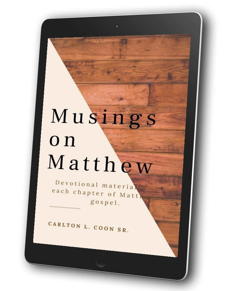 MusingsonMatthewDevotional_PDF.png