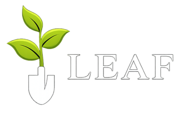 Leaf 