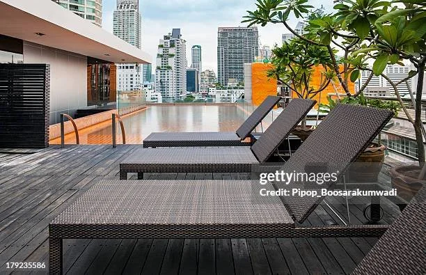 Rooftop patio with lounge chairs and potted plants overlooking a city skyline.