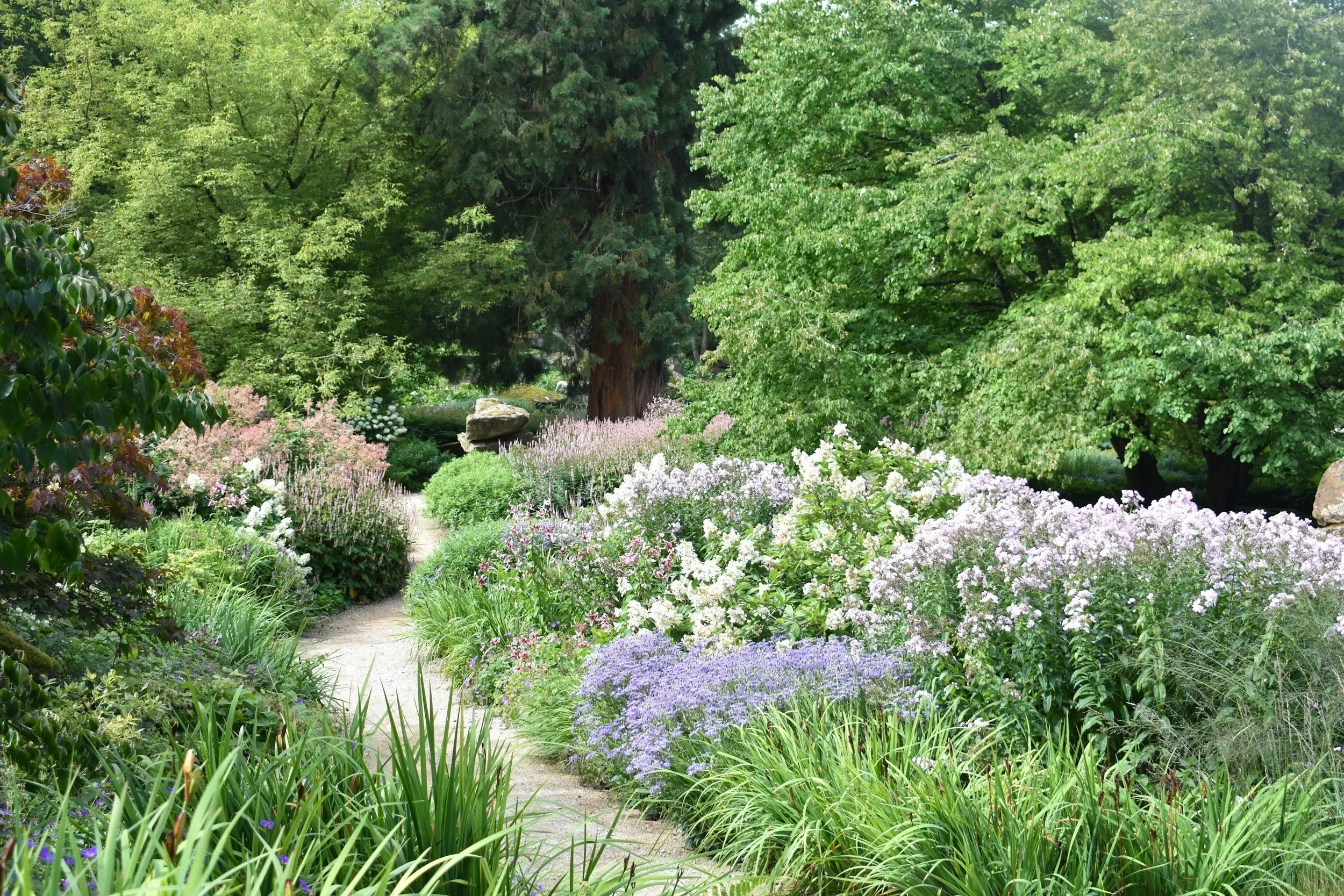 A lush garden with a winding stone pathway, surrounded by colorful blooming flowers, tall green trees, and dense foliage.