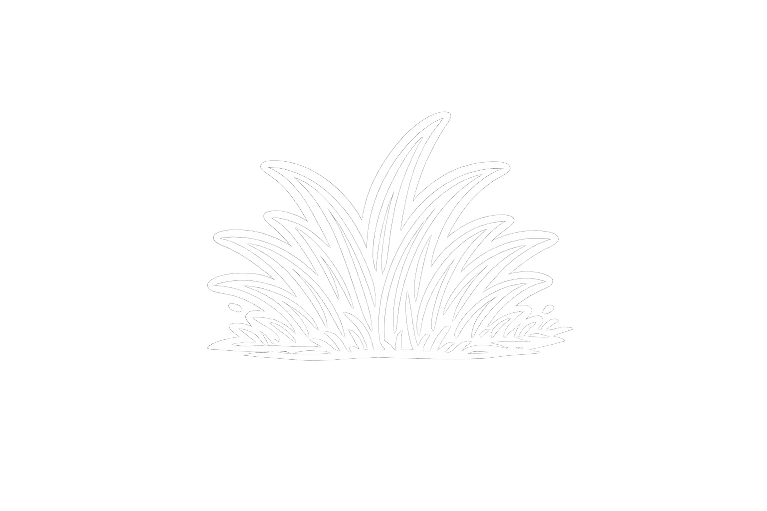 Outline of grass or plant with multiple long, pointed leaves on a black background.