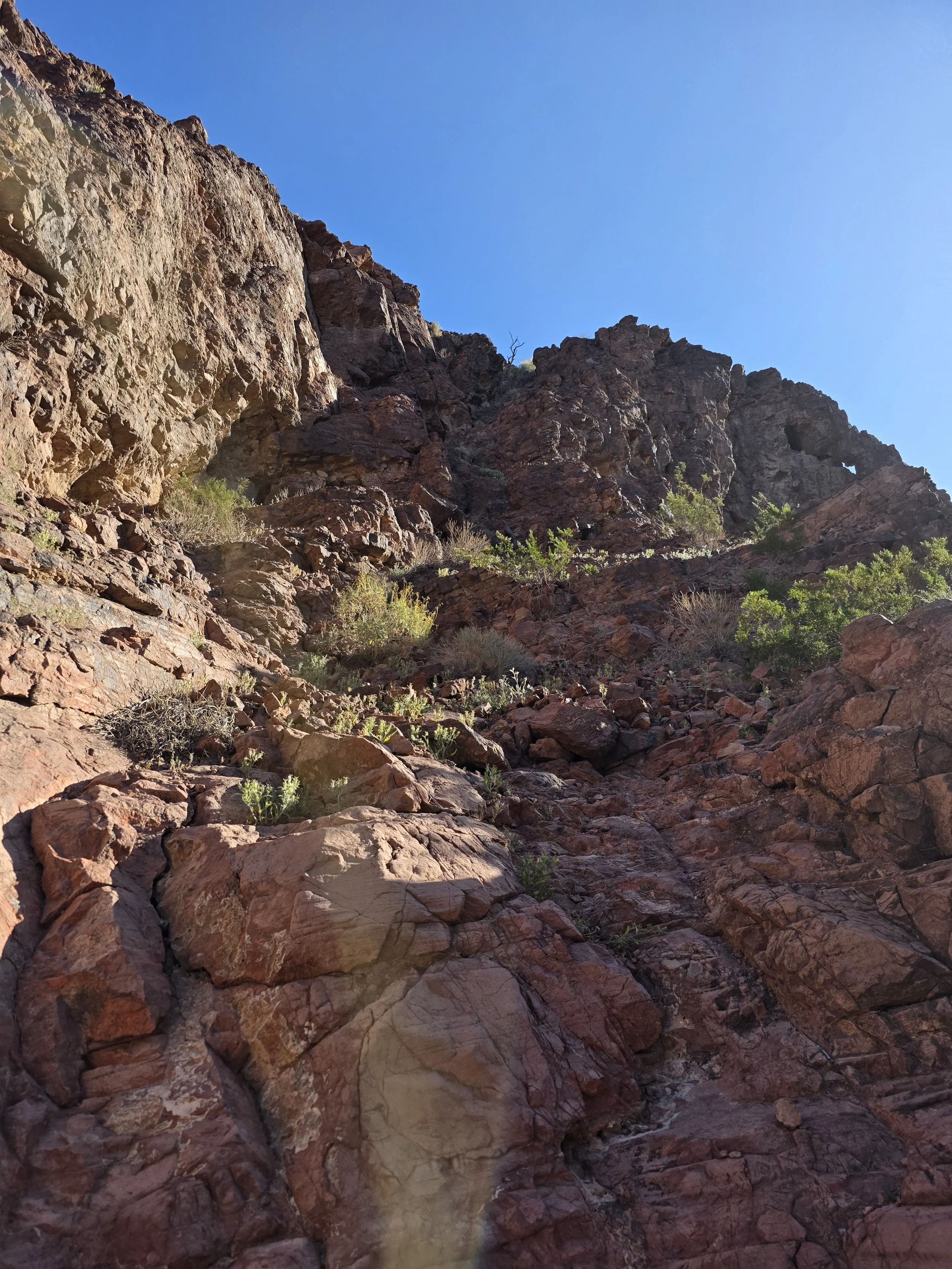 The Truth of the Landscape: Finding the Beauty in Your Thorns