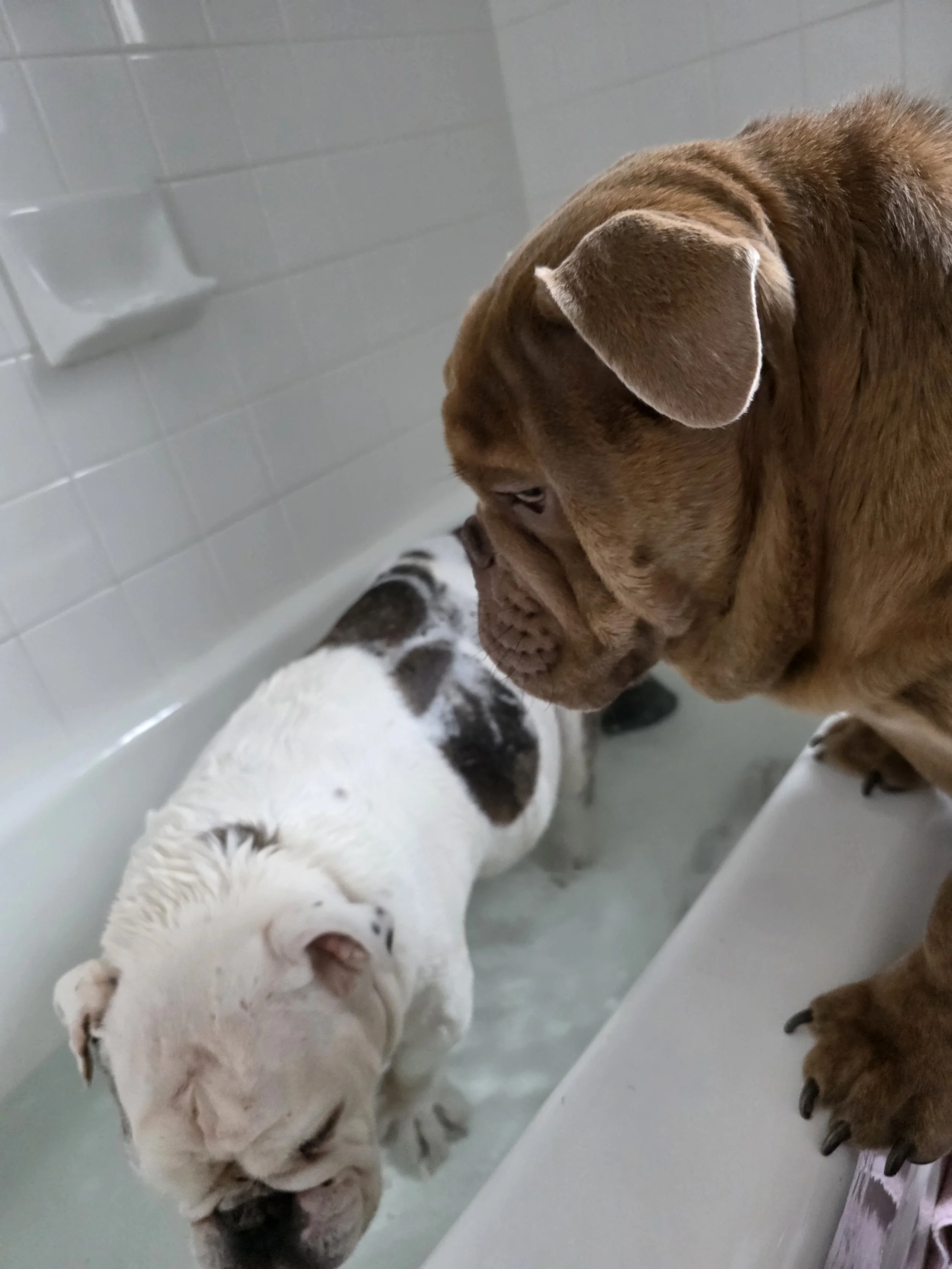 The Sacred Mess: Finding the Echo in the Everyday