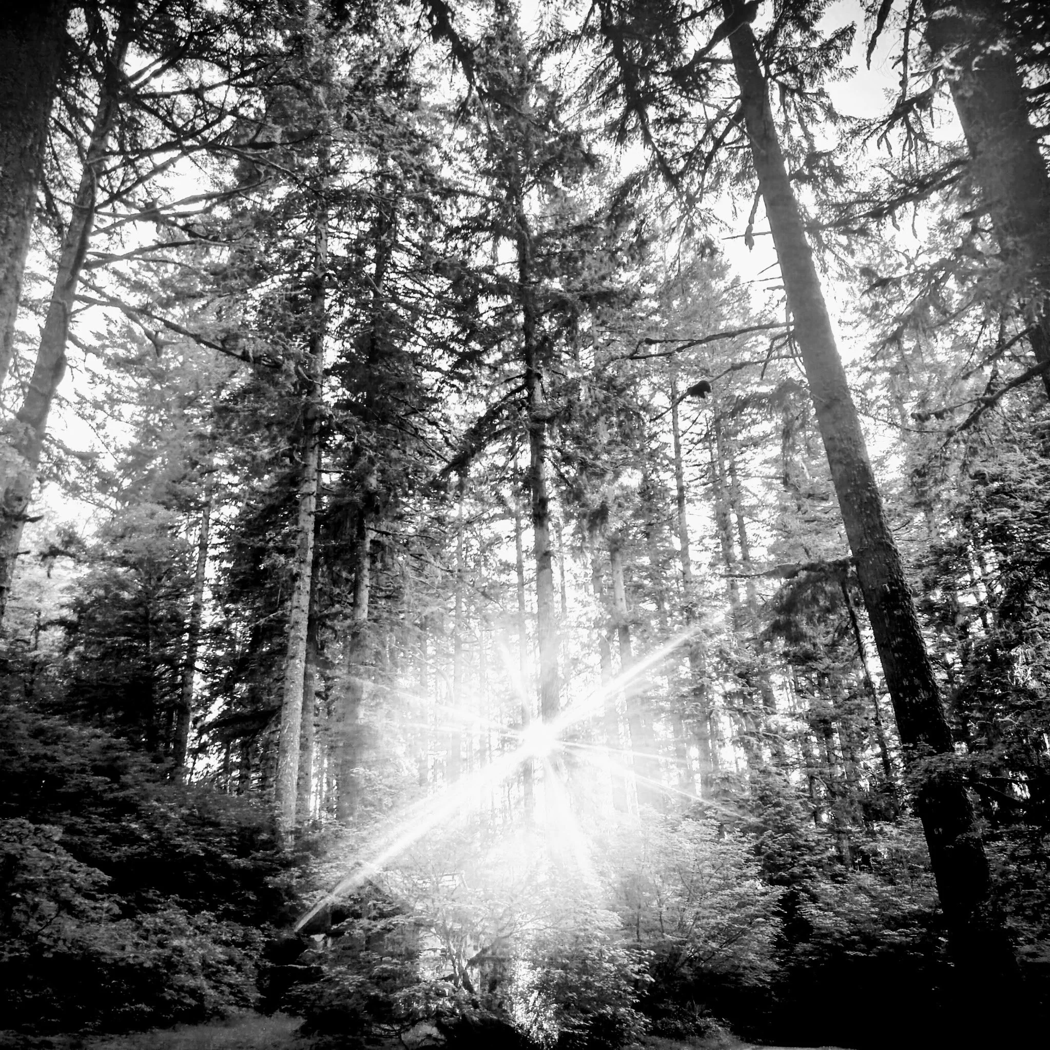 No Policies for Being: Finding the Wild Things on the Outskirts