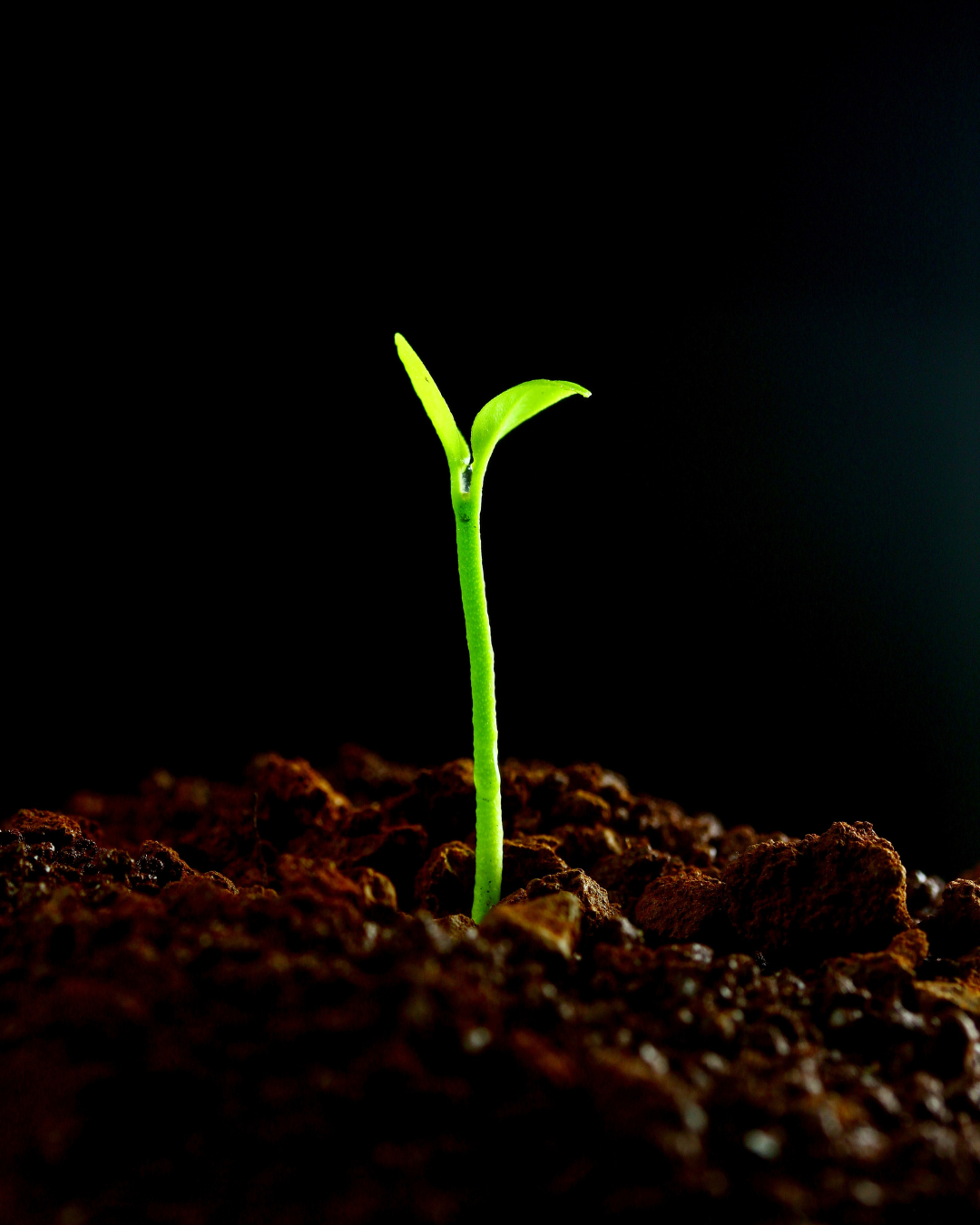 Freedom as Currency: The Truth of Pluto in Aquarius