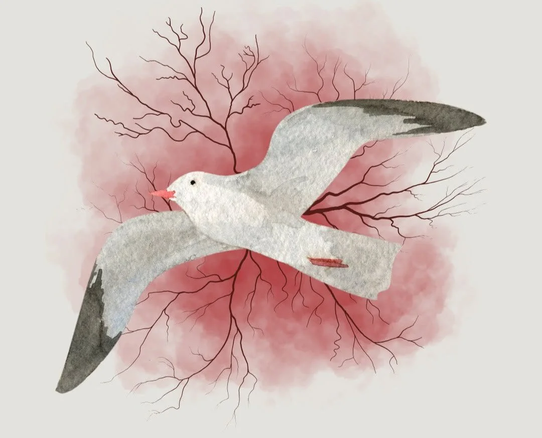 Watercolor illustration of a seagull flying with a pink background and thin black tree branches.