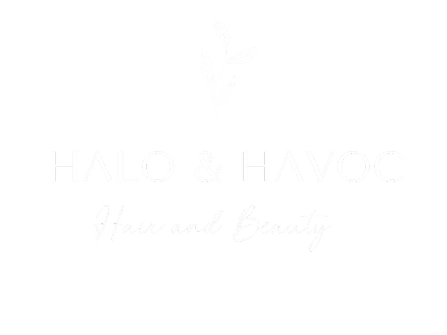 Halo &amp; Havoc Hair and Beauty