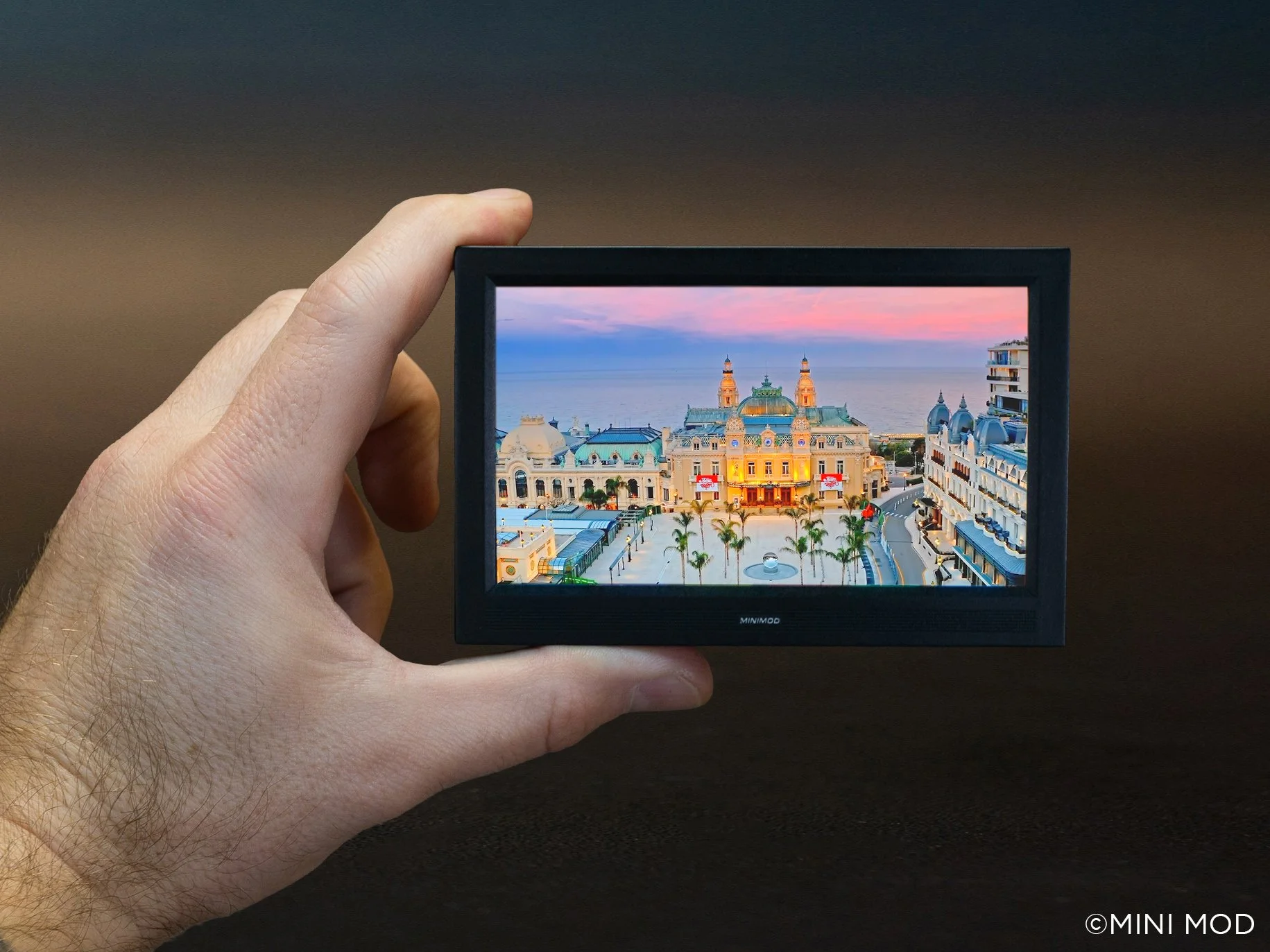 Flat Panel Plus