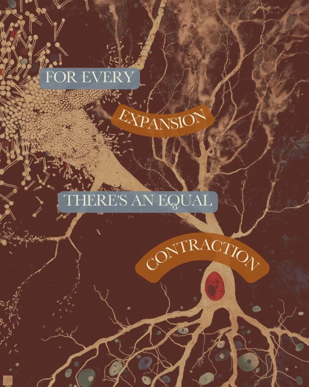 For Every Expansion There’s An Equal Reaction: Aquarius Eclipse