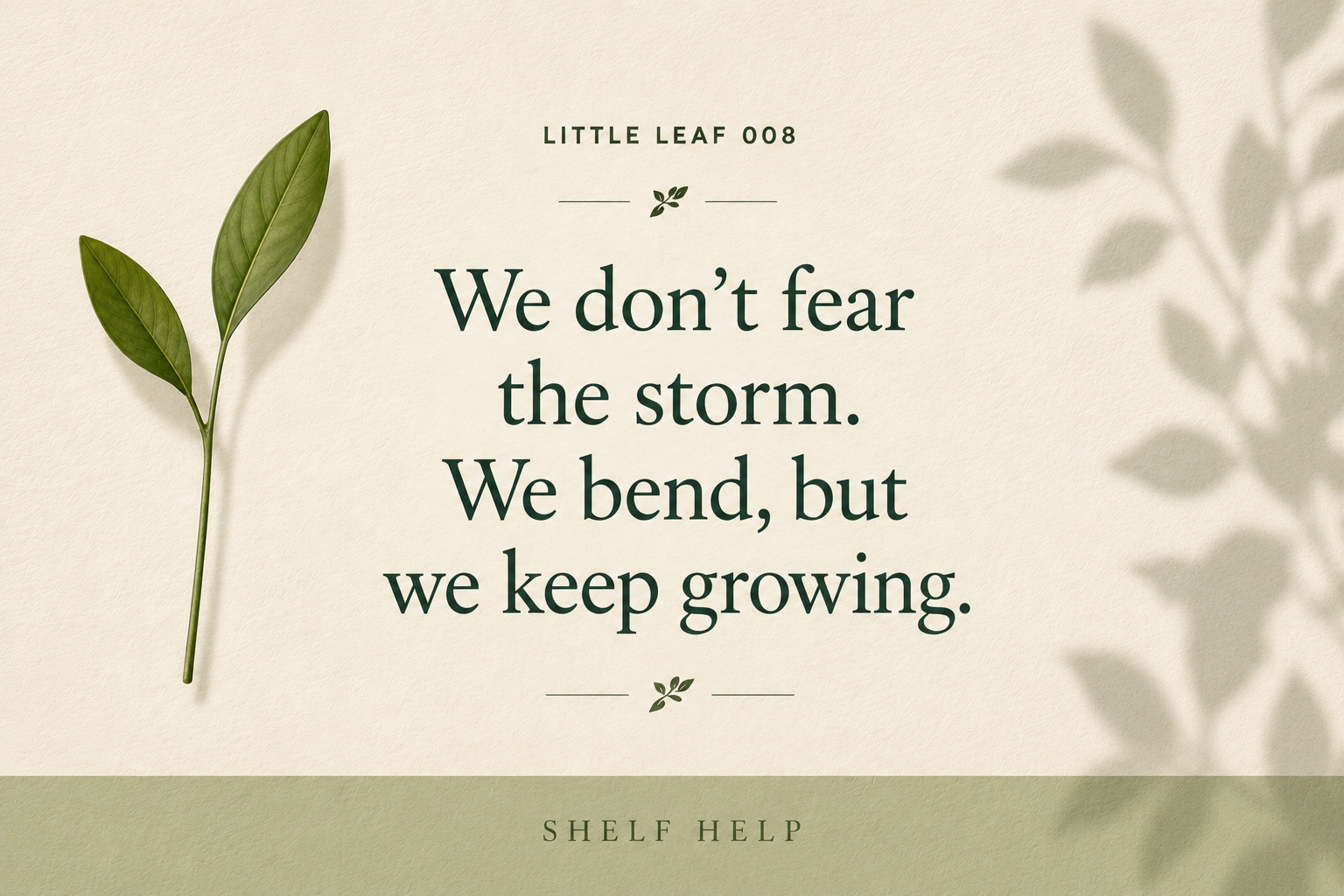 Weathering the Storm
