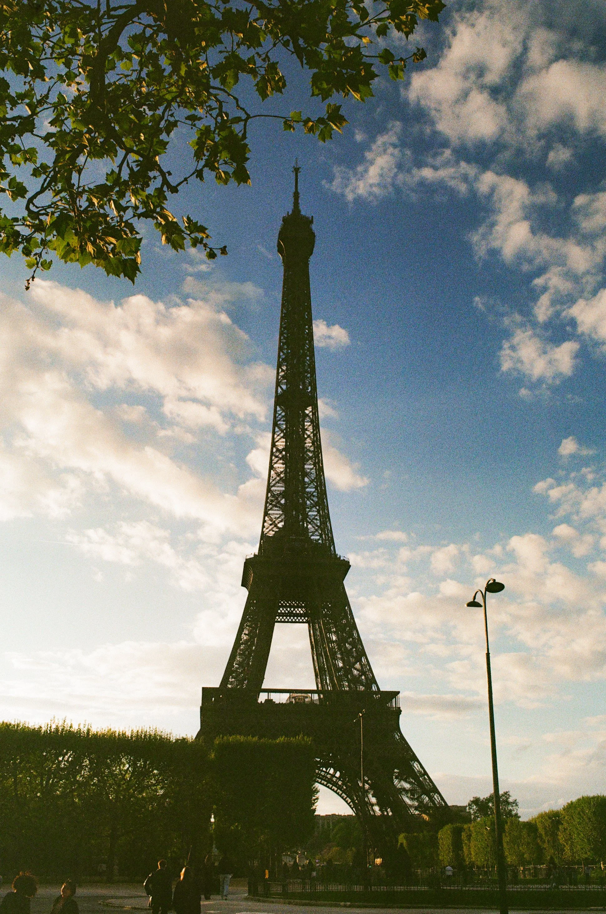 paris16.jpg