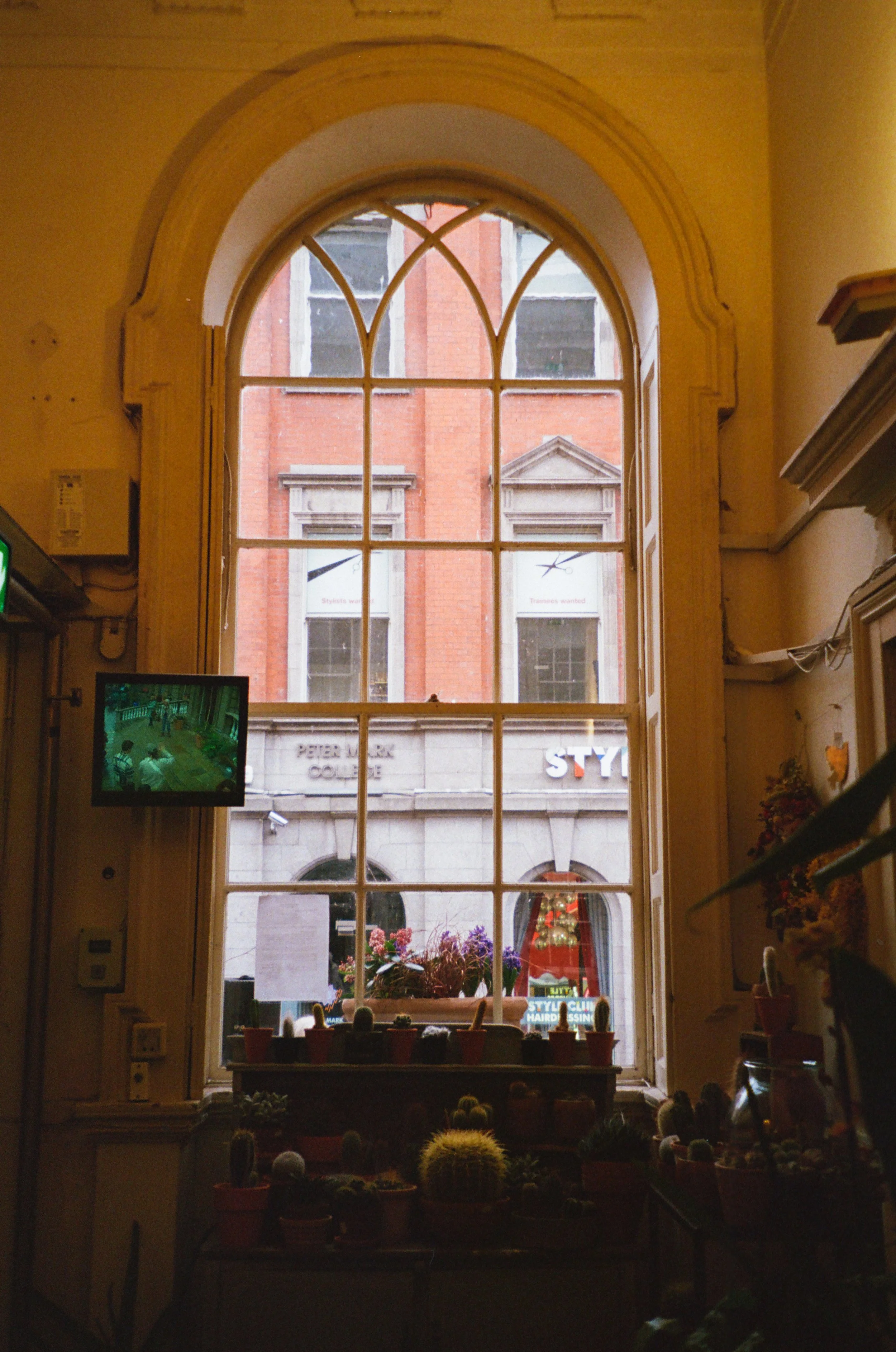 dublinfilmfinals72.jpg
